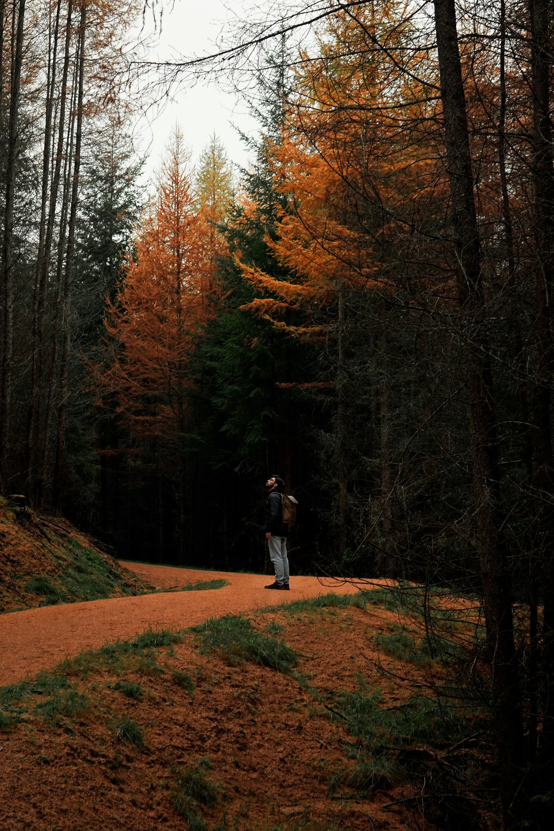 A person standing on a forest trail surrounded by trees with autumn-coloured leaves. Likely taking a walk. . The sky is overcast, and the ground is covered with orange leaves and green moss.