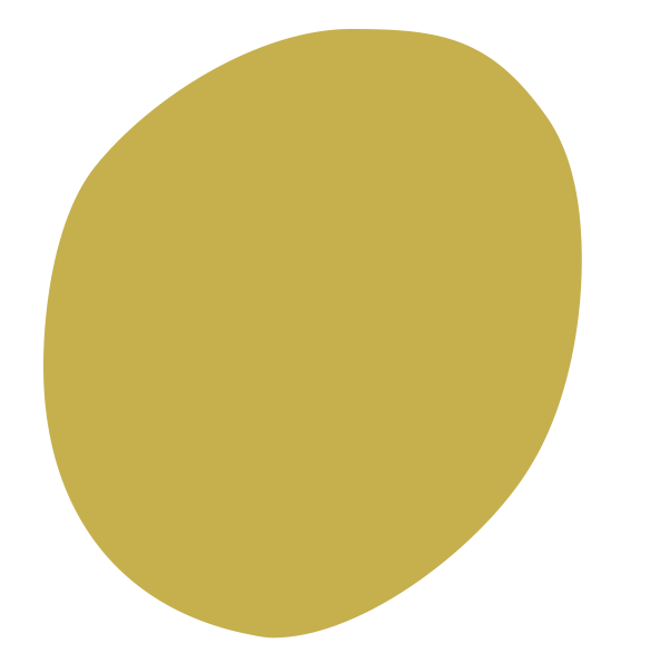 A single, large, irregularly shaped gold-colored egg on a white background.
