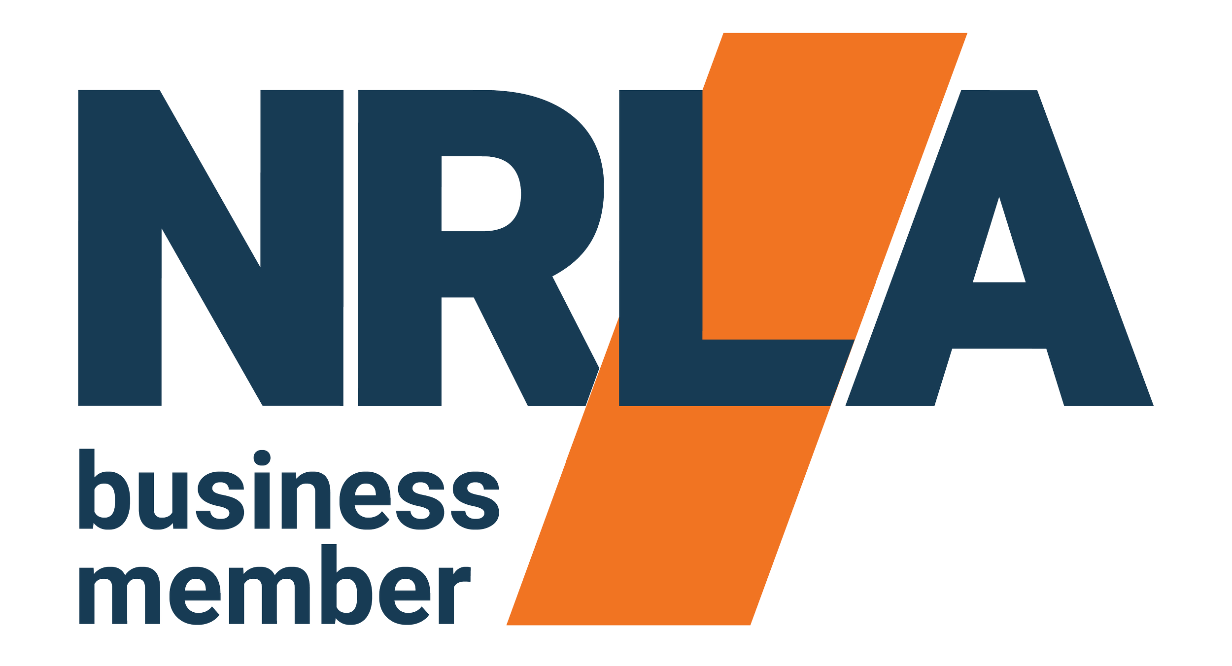 NREIA business member logo, featuring bold navy blue letters and an orange lightning bolt.