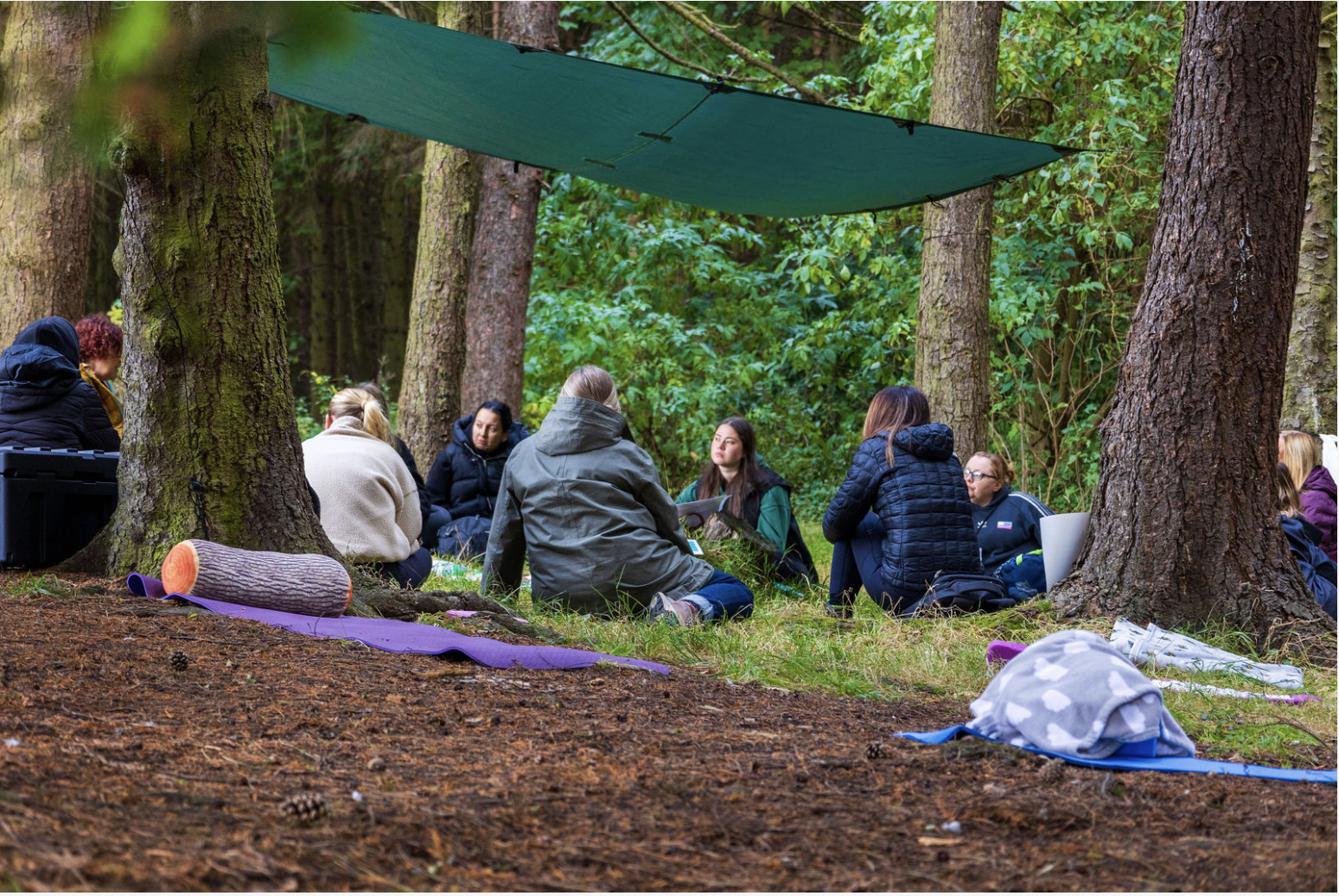 Group of people sitting in a circle on the forest floor with trees and green foliage behind them, under a green tarp for shade.
