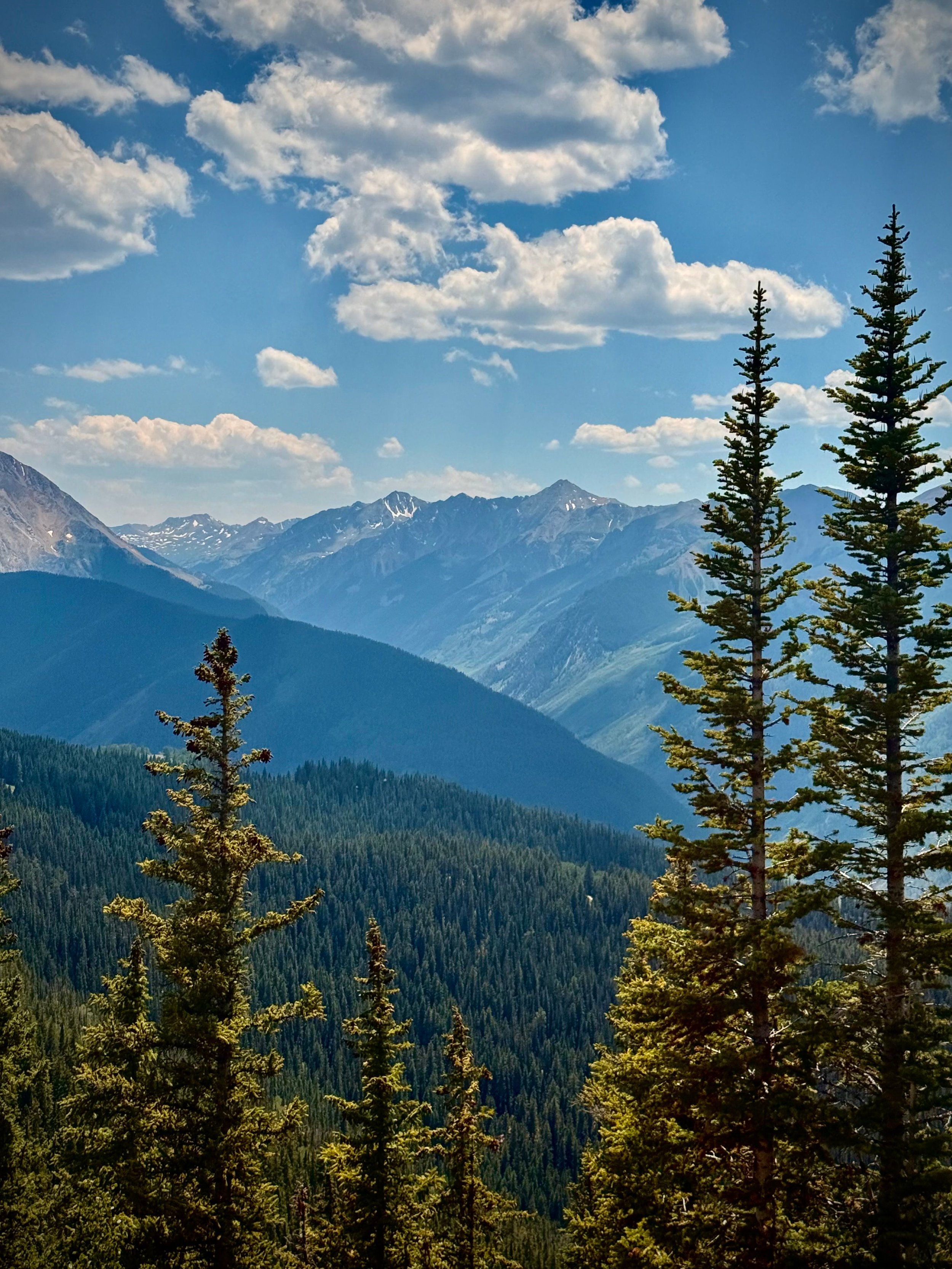 A scenic view of a mountain range with snow-capped peaks under a partly cloudy blue sky, foreground featuring tall evergreen trees.