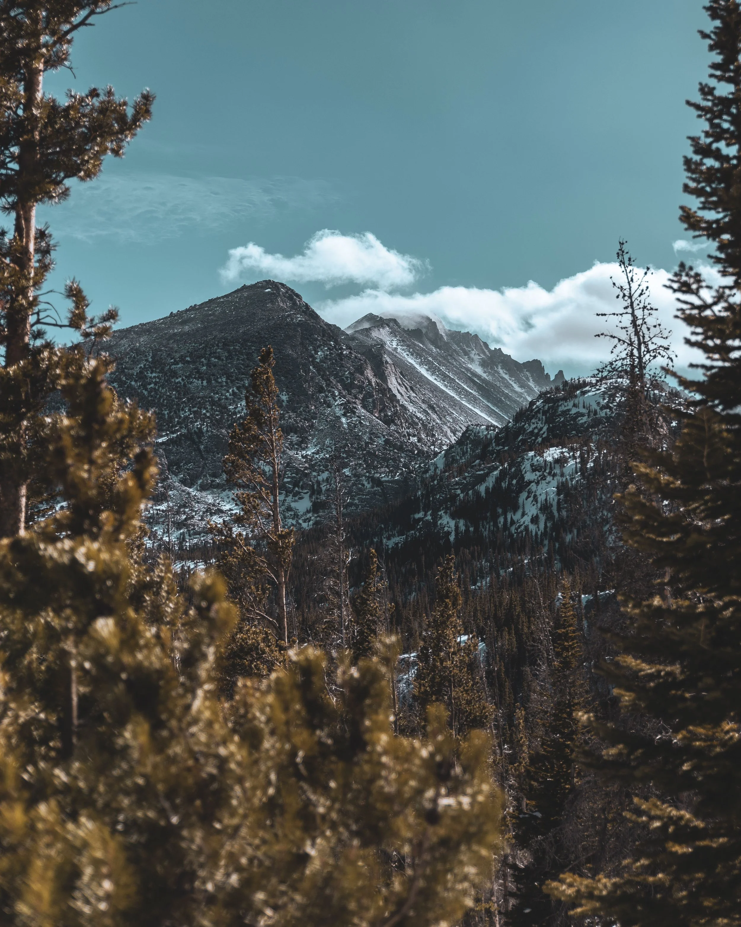 A mountain range with snow-capped peaks under a partly cloudy sky, viewed through surrounding evergreen trees.