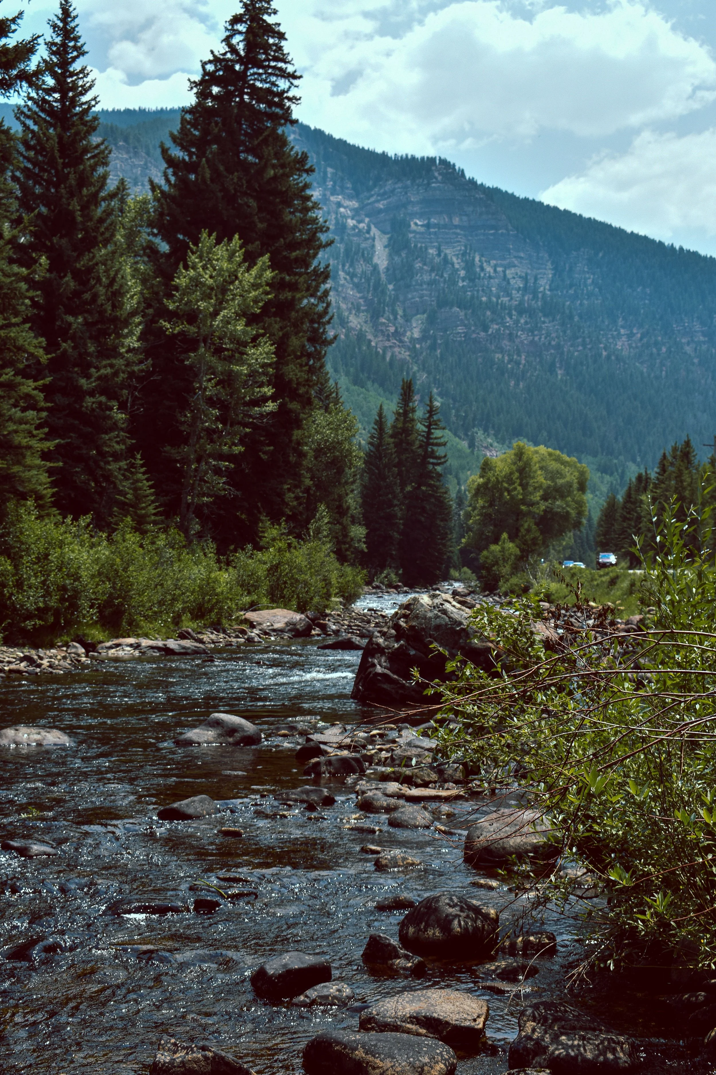 A mountain river flowing over rocks surrounded by dense green trees, with a mountain and cloudy sky in the background.