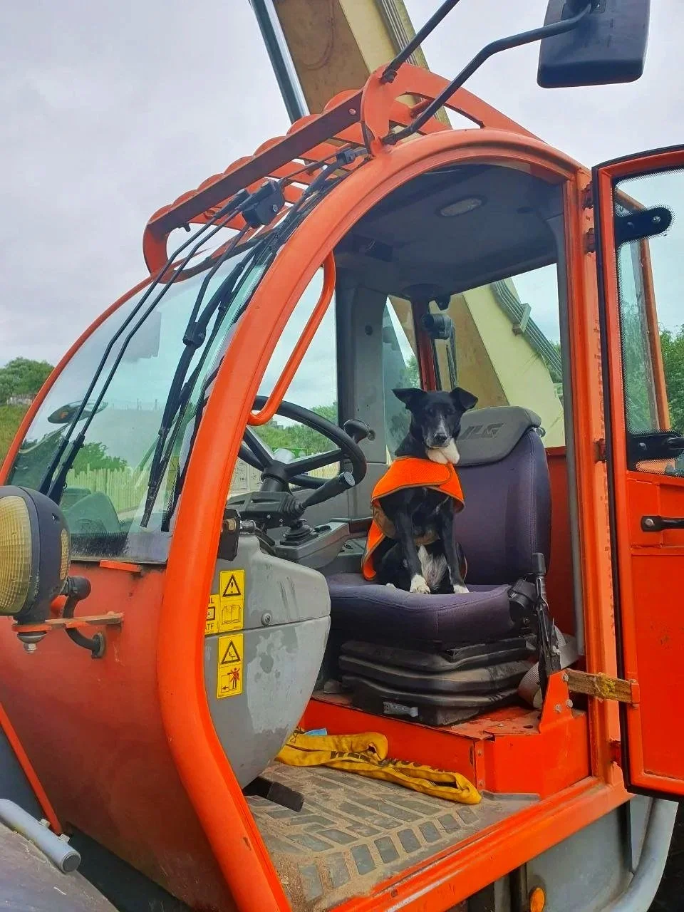 A black and white dog wearing an orange vest sitting on a seat inside the cab of an orange construction vehicle or heavy equipment machine.