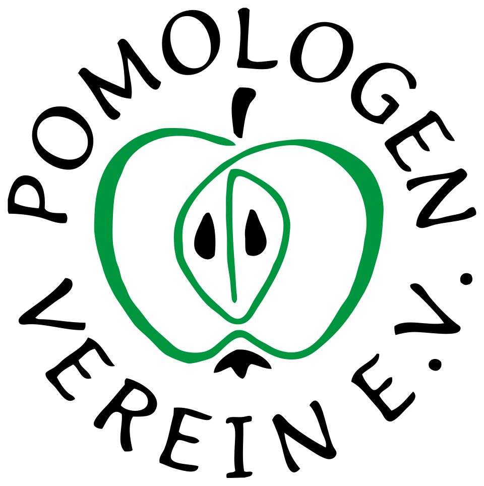 Line drawing of a green apple cross-section on a black background.