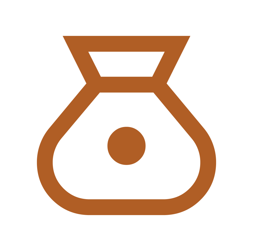 Money bag icon representing low cost services
