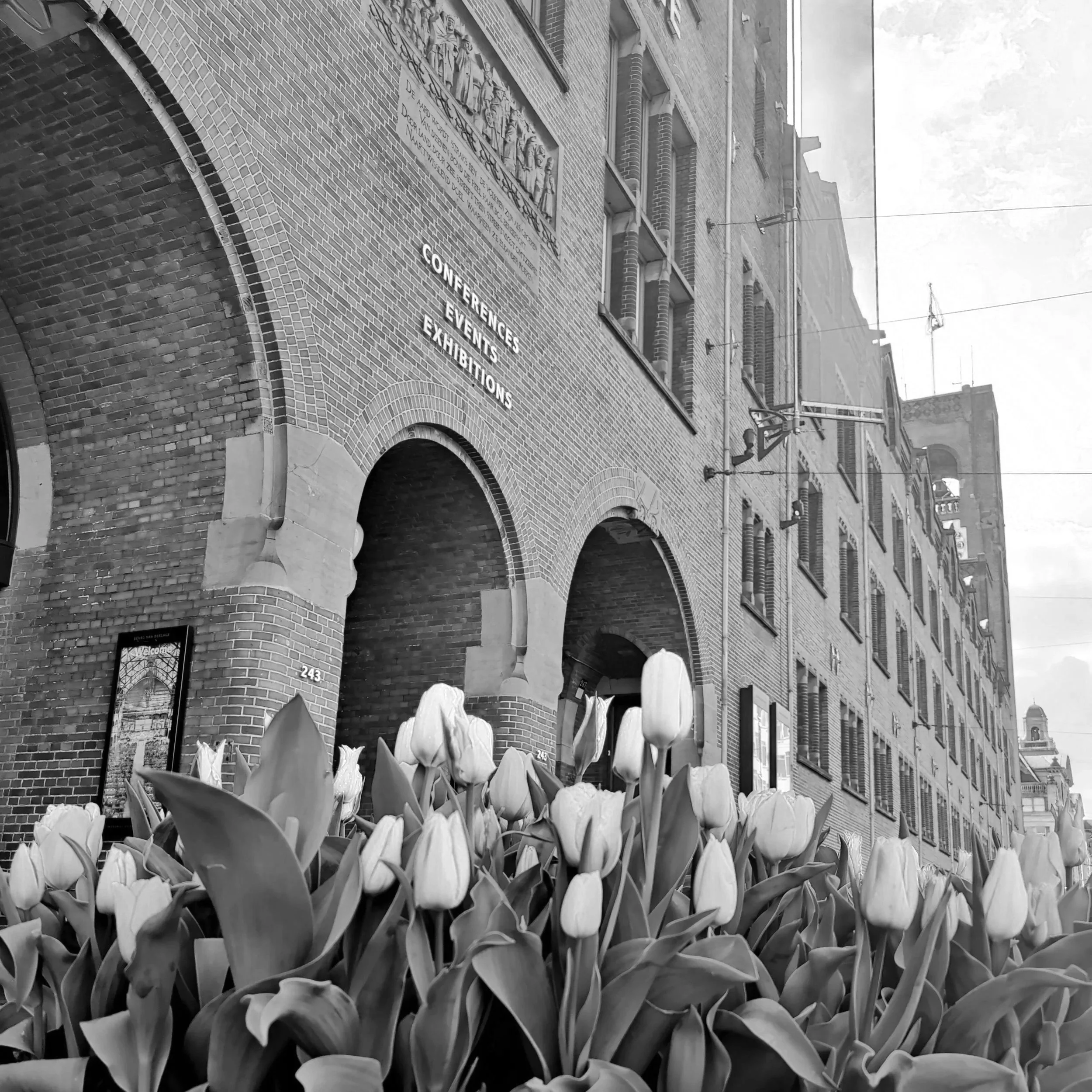 Beurs van Berlage with tulips in the foreground, office location of Brussels Sprouts
