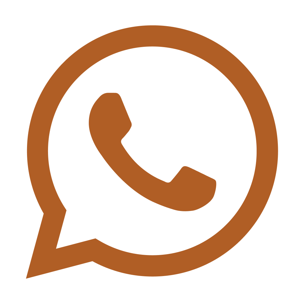 WhatsApp icon