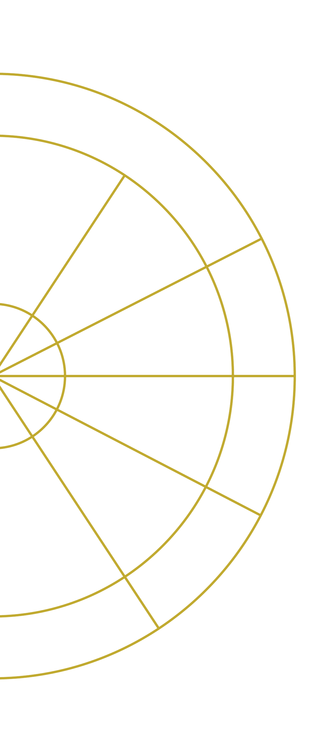 A geometric diagram featuring multiple concentric circles and straight lines forming a grid pattern on a black background.