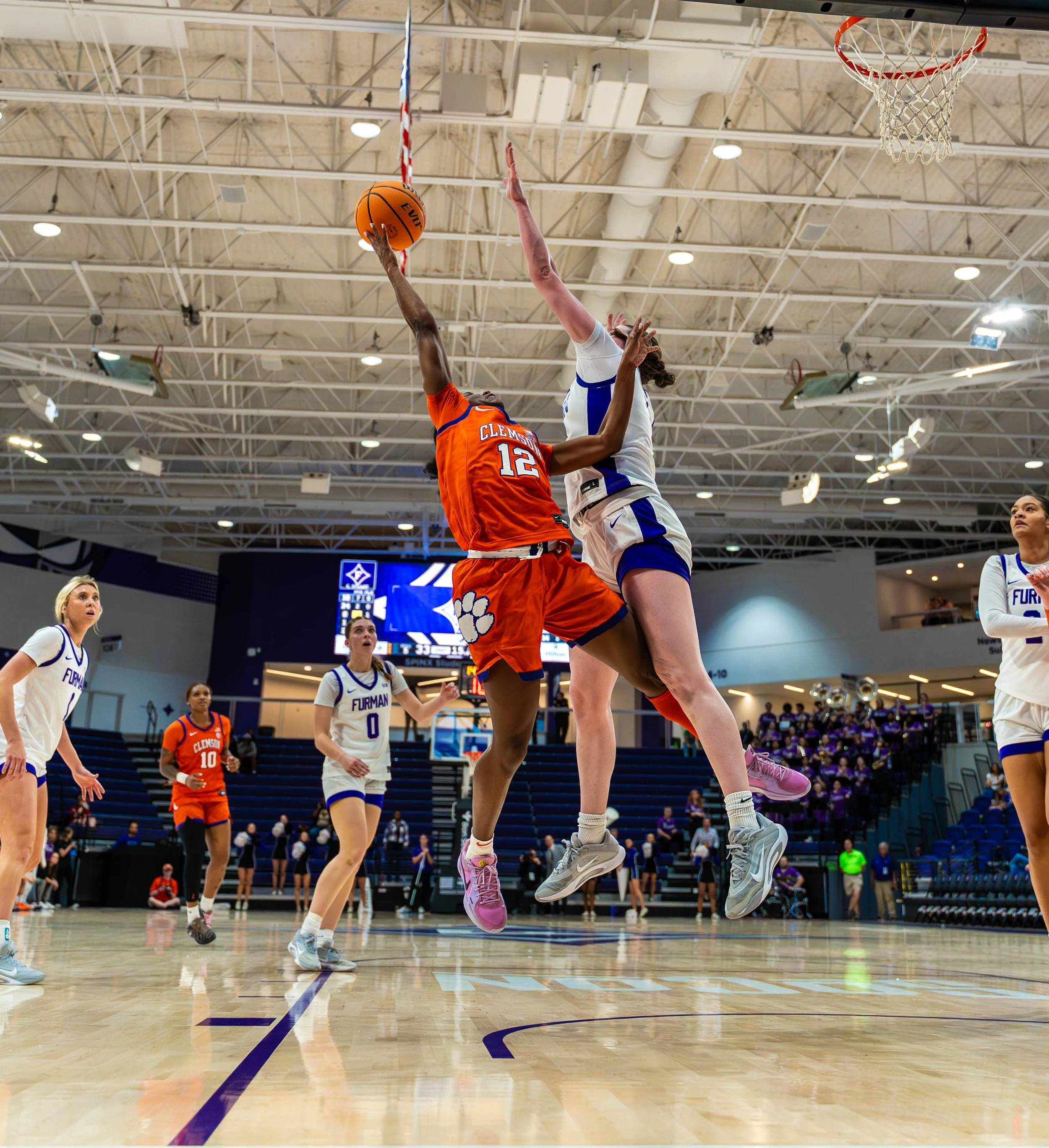 FurmanClemsonWBB380001.jpg