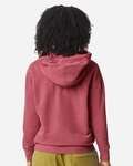 20552-comfort-colors-1467cc-unisex-garment-dyed-lightweight-fleece-hooded-sweatshirt-back-crimson.jpg
