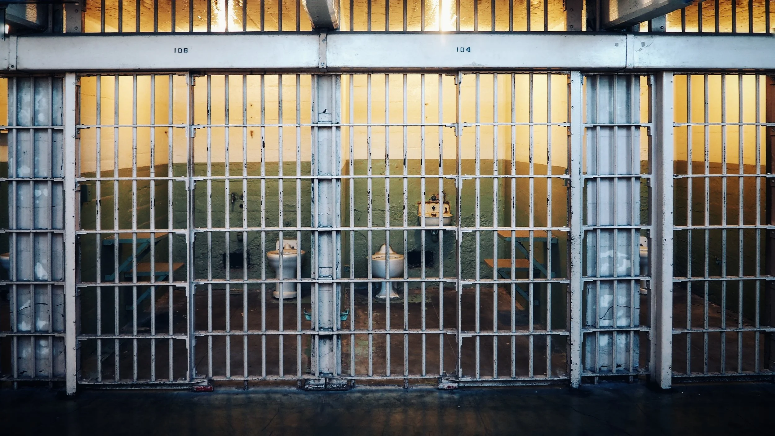 What is the Difference Between a Cow and a Prisoner?