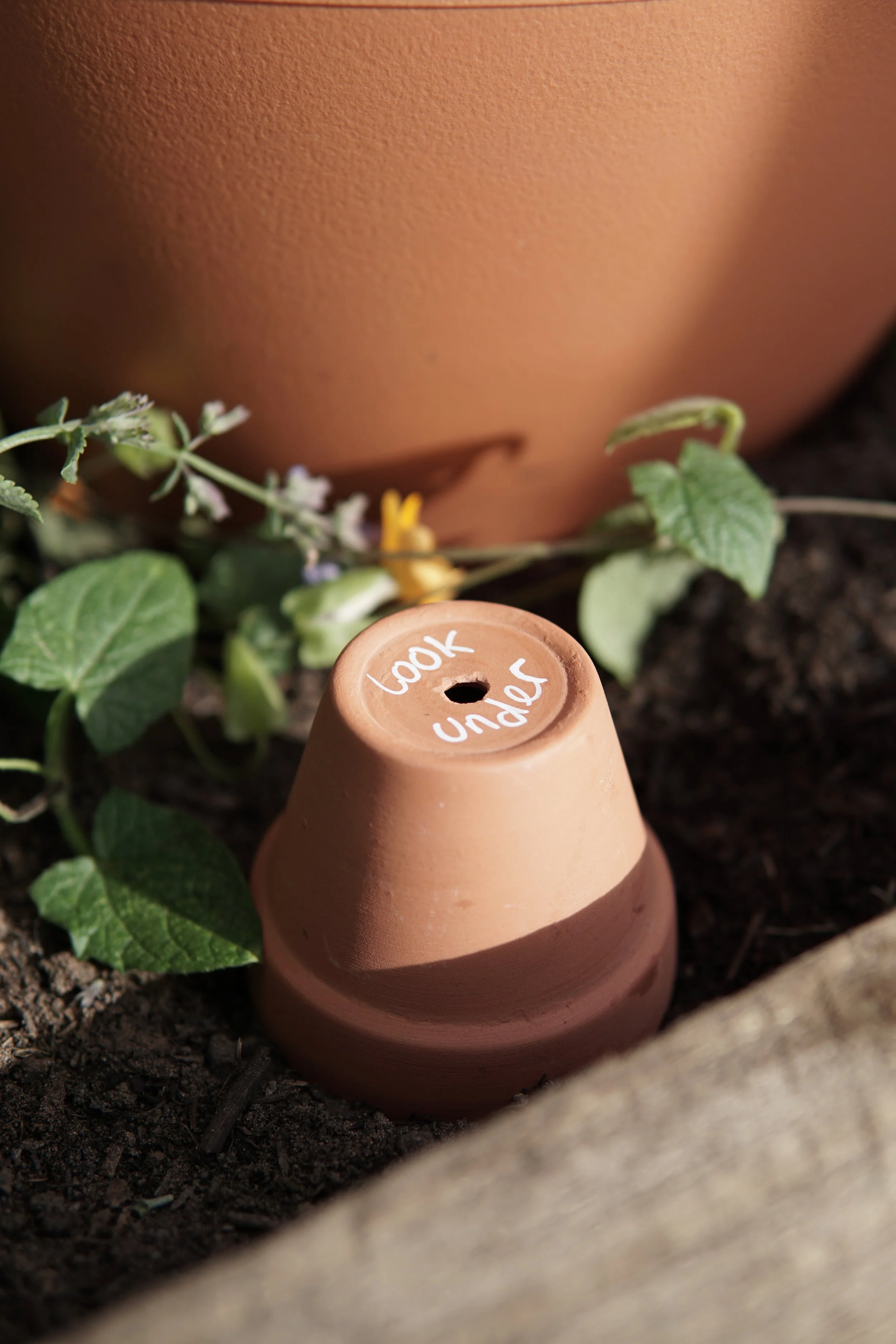 Close-up of a small clay plant marker in soil with white handwritten text, with a terracotta pot or ornament and green leaves with purple flowers in the background.