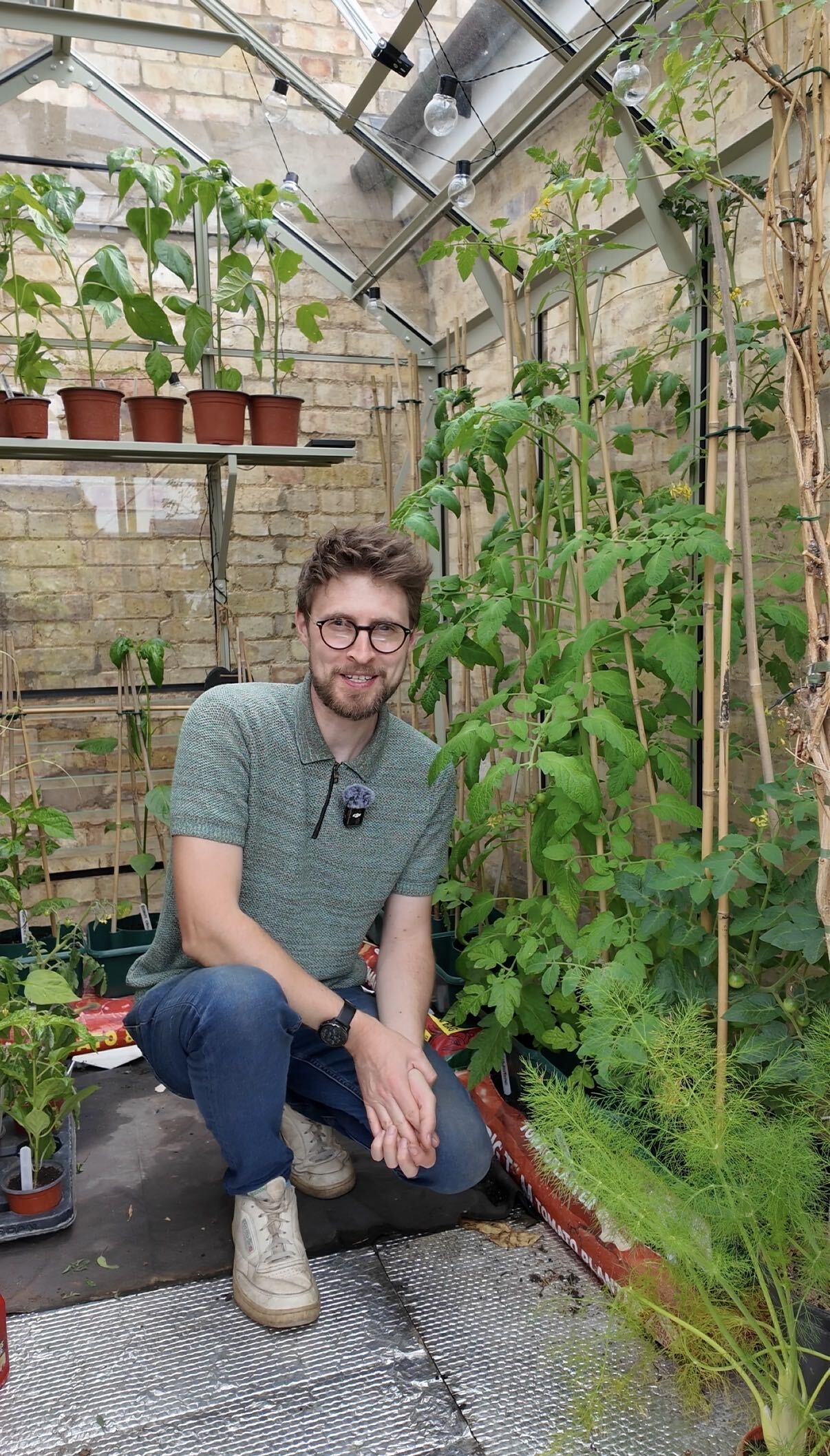 A man with glasses, a beard, and a light green polo shirt kneeling and smiling in a greenhouse filled with green plants and tomato plants supported by wooden stakes. There are potted plants on a shelf behind him and a brick wall in the background.