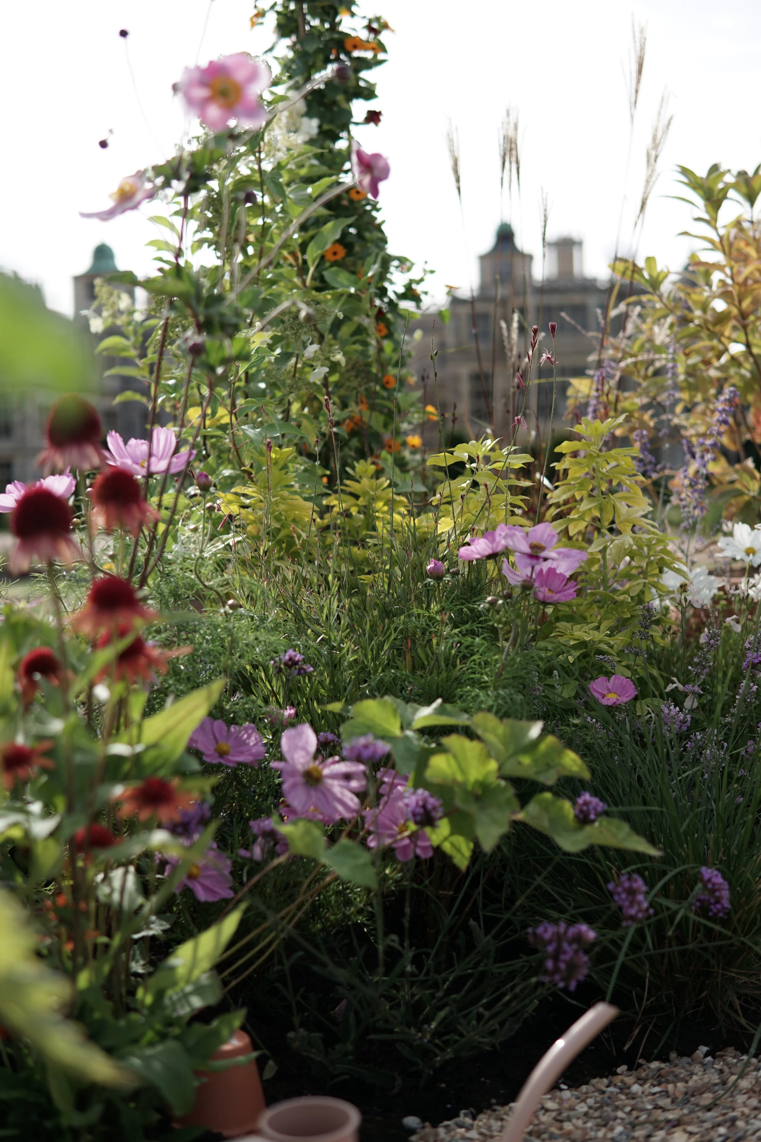 A vibrant garden with various pink, purple, orange, and yellow flowers, and greenery, with a historical building with domes and towers in the background.
