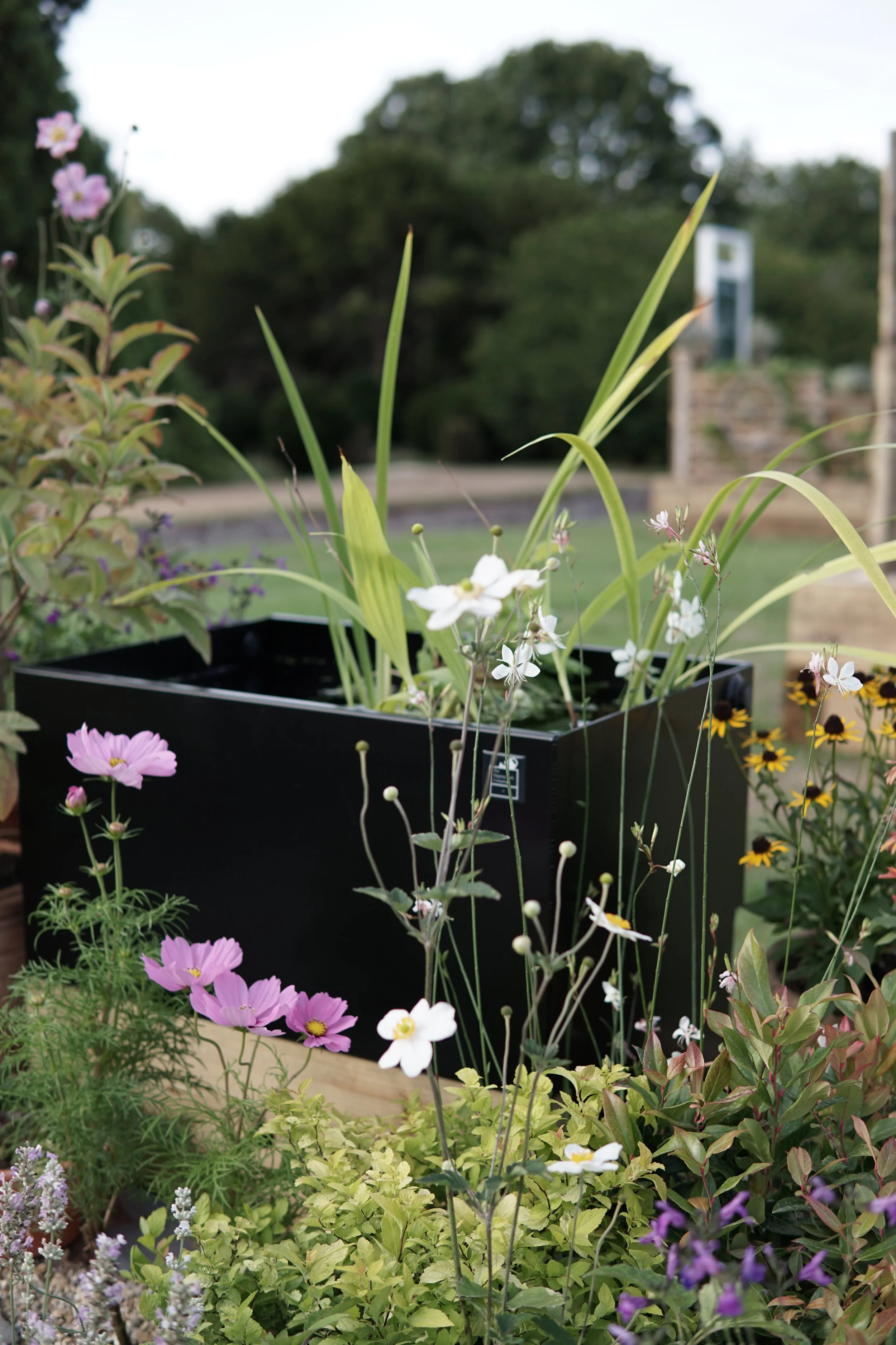 A variety of colorful flowers growing in a garden with a black planter box, trees, and a stone wall in the background.