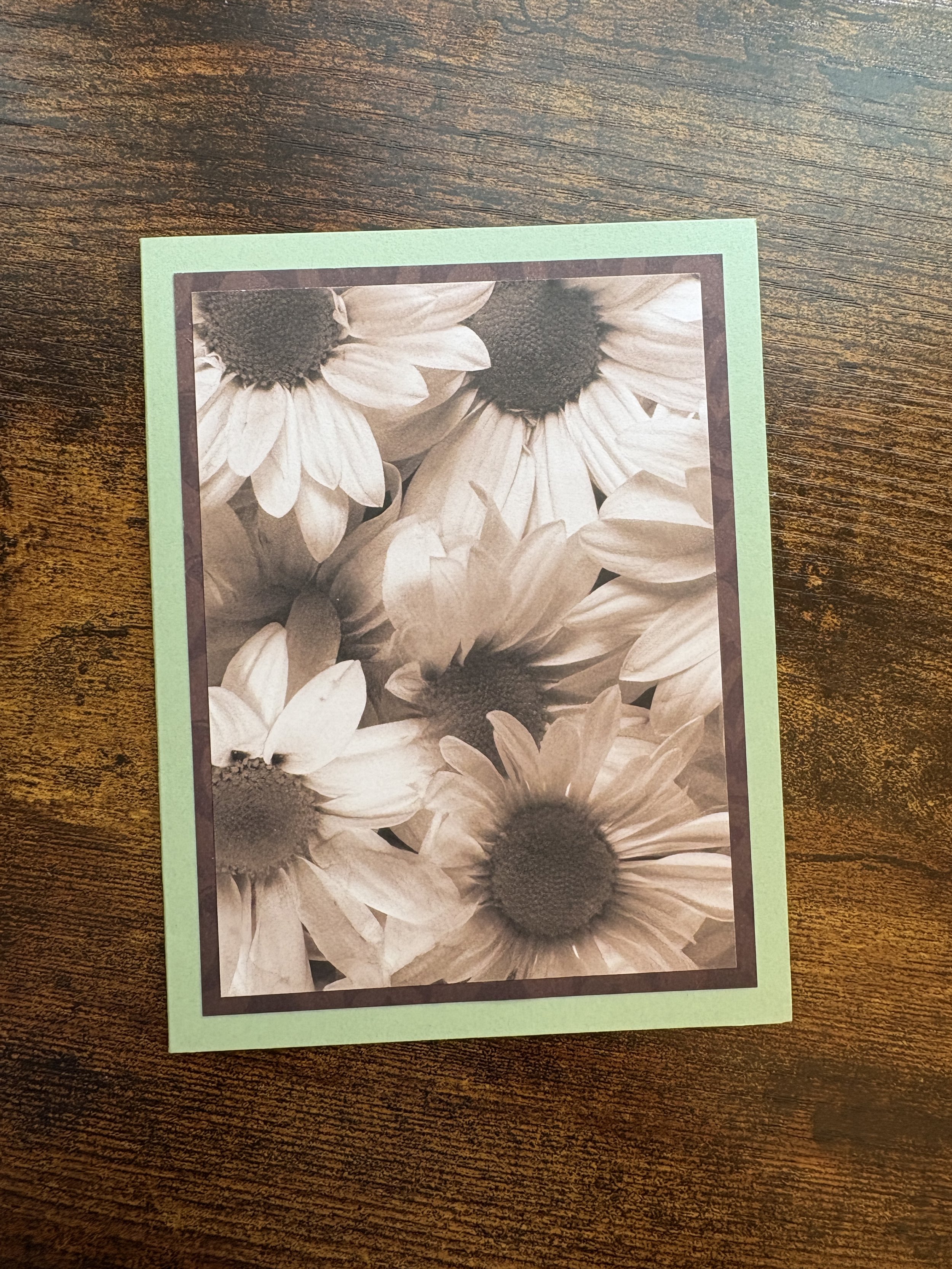 Daisy Greeting Card, Green