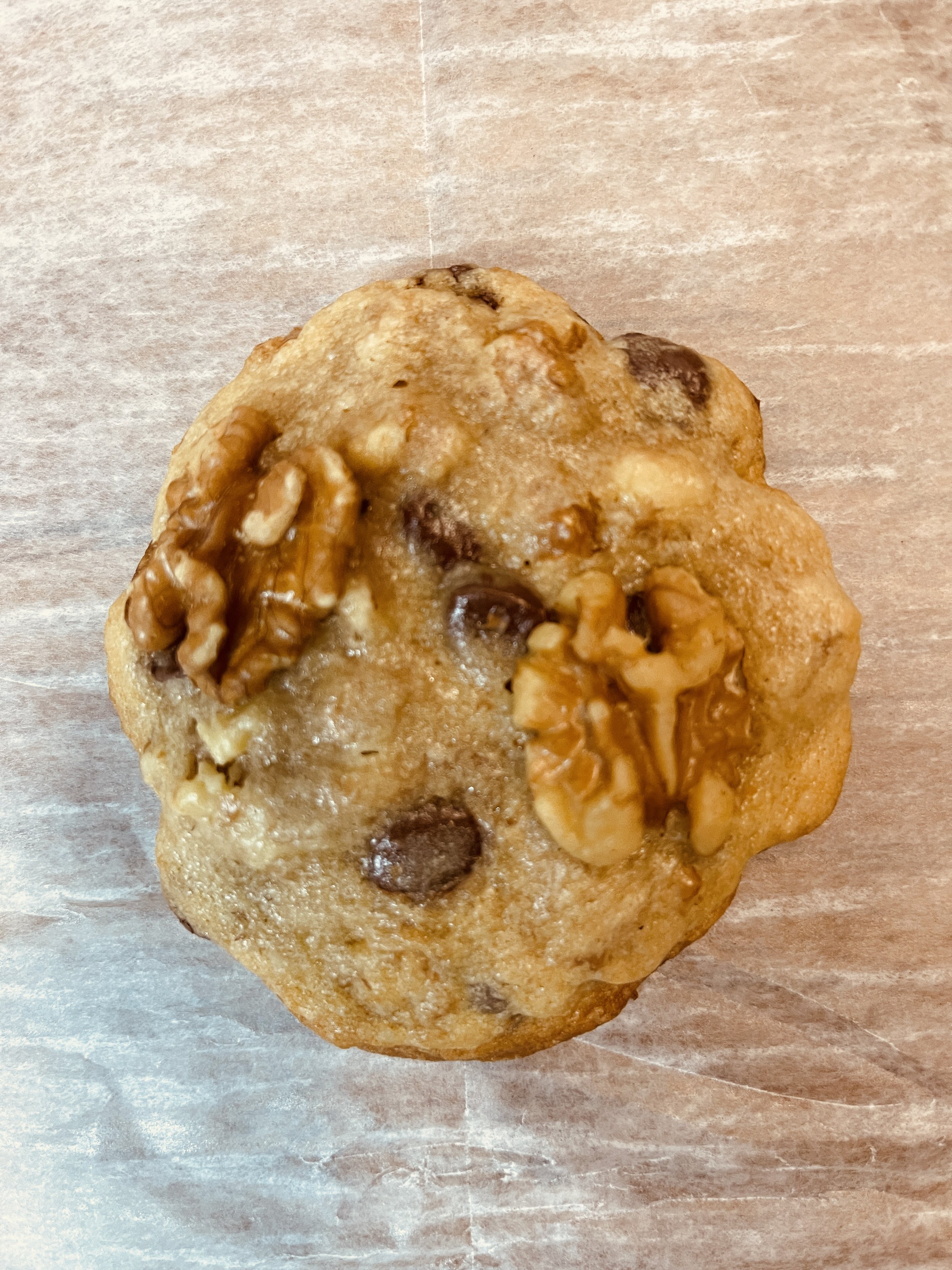 Walnut Chocolate Chip Cookie