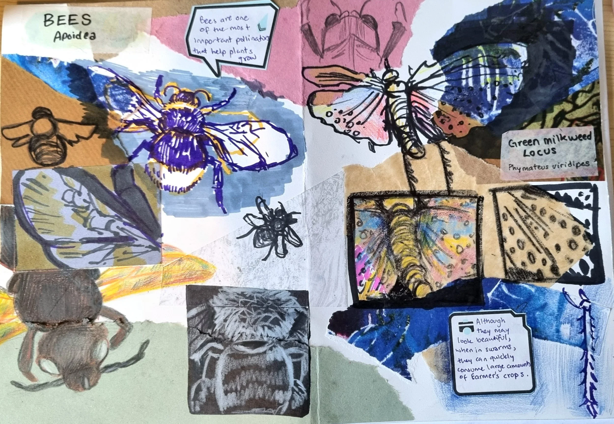 A collage of drawings and notes about bees and butterflies. There are sketches of bees, a butterfly, and accompanying text explaining the importance of bees in pollination and the appearance of butterflies in swarms. The collage includes colorful bac
