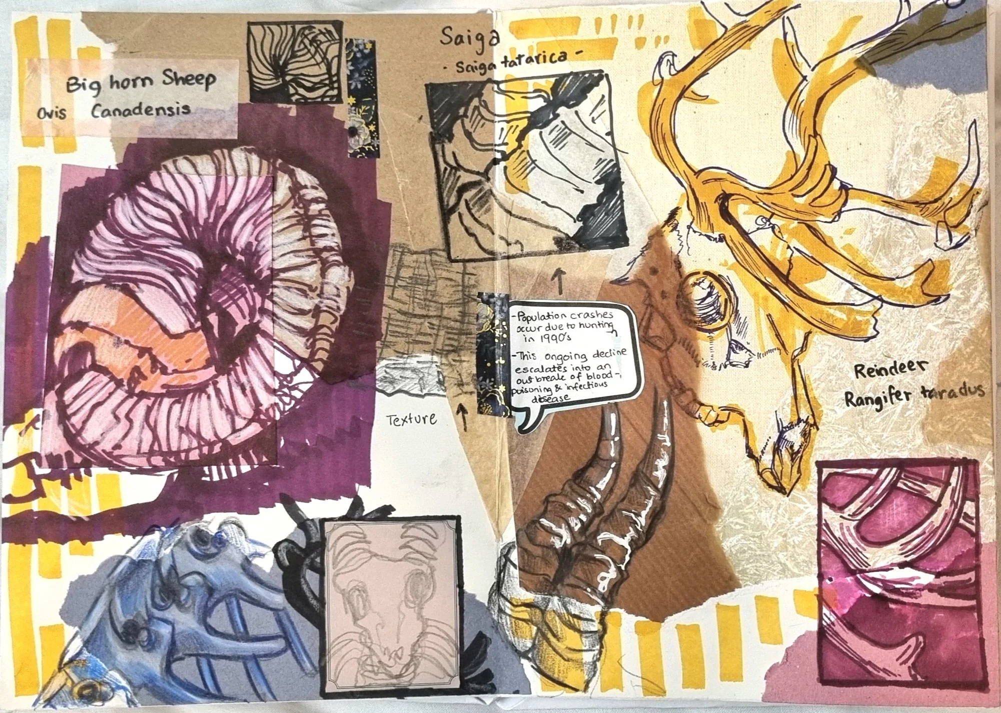 Illustration of various animals, including a big horn sheep and a reindeer, with handwritten labels and sketches on a collage-style background.