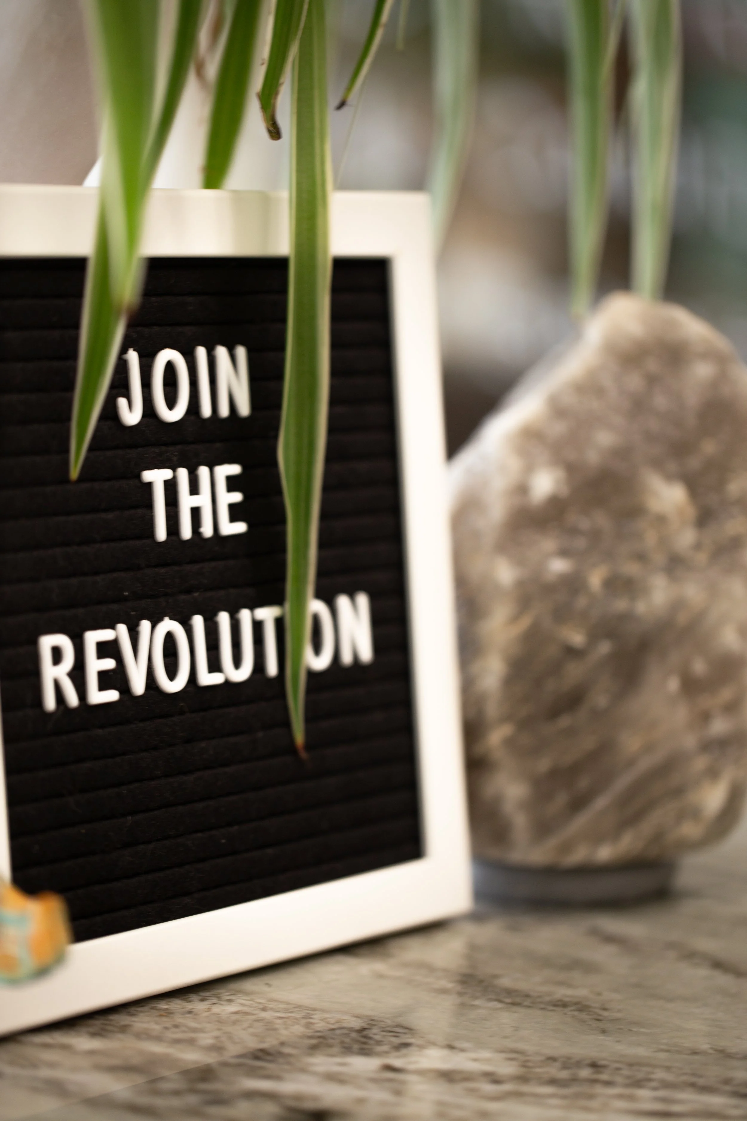 Close-up of a decorative letterboard with the words "JOIN THE REVOLUTION" and green plant leaves partially covering it, set on a surface with a rock nearby.