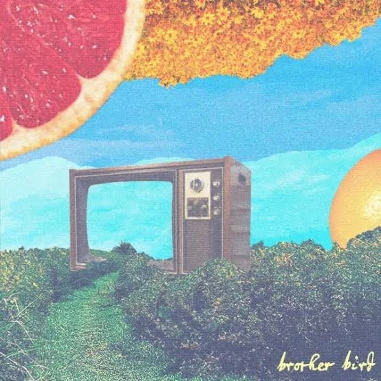 “Dirt” by Brother Bird