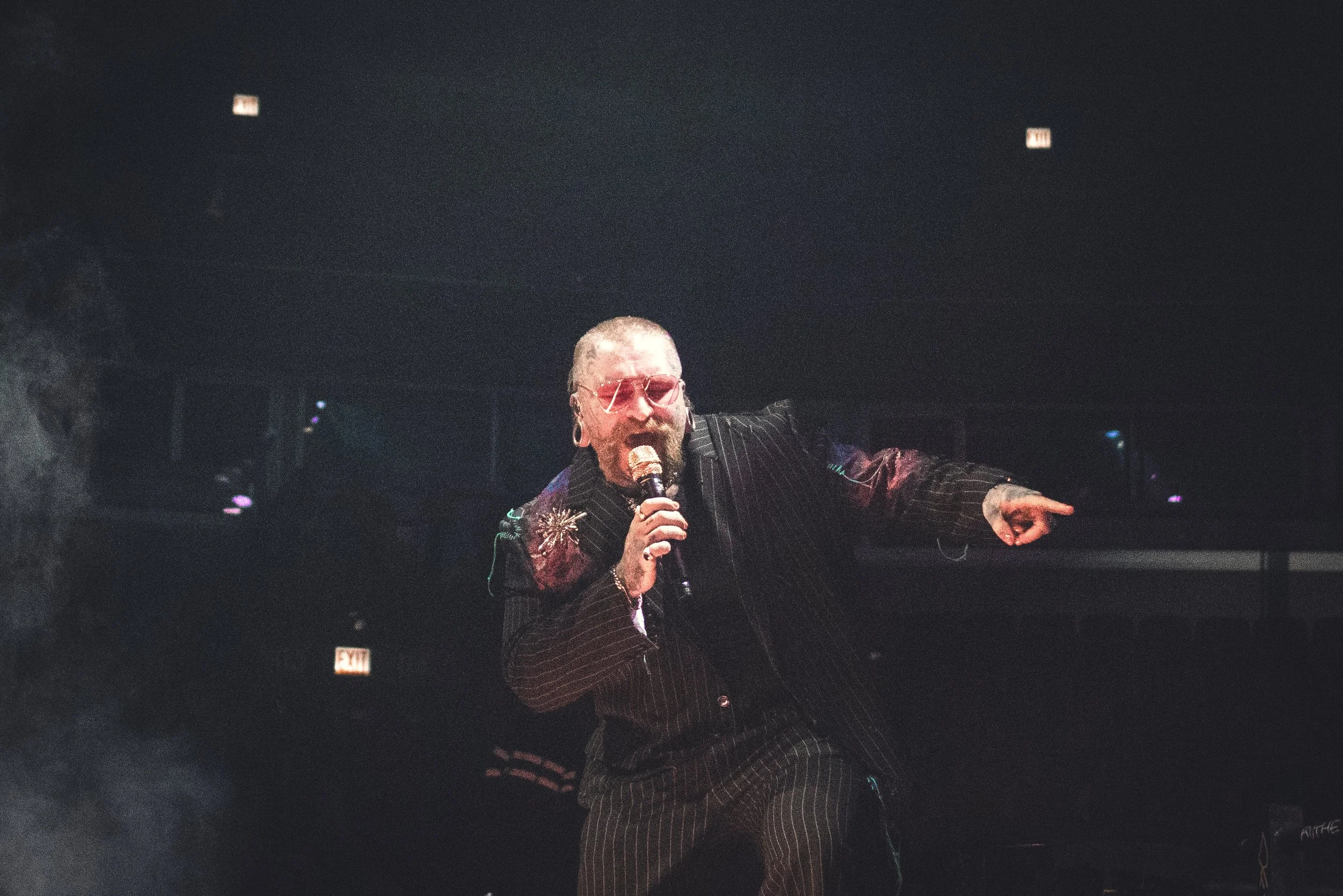 Teddy-14.JPG