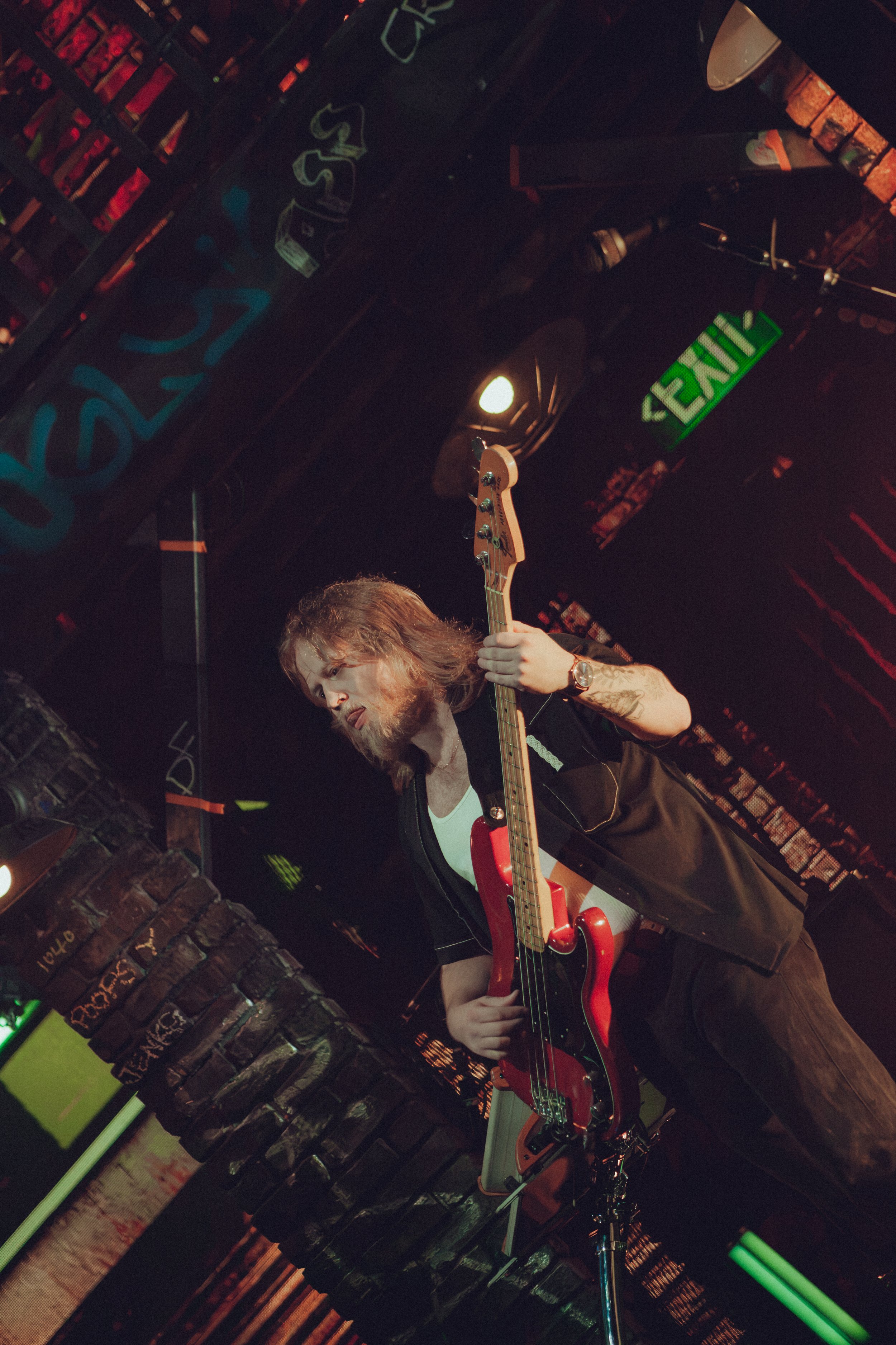 Teddy-8.JPG
