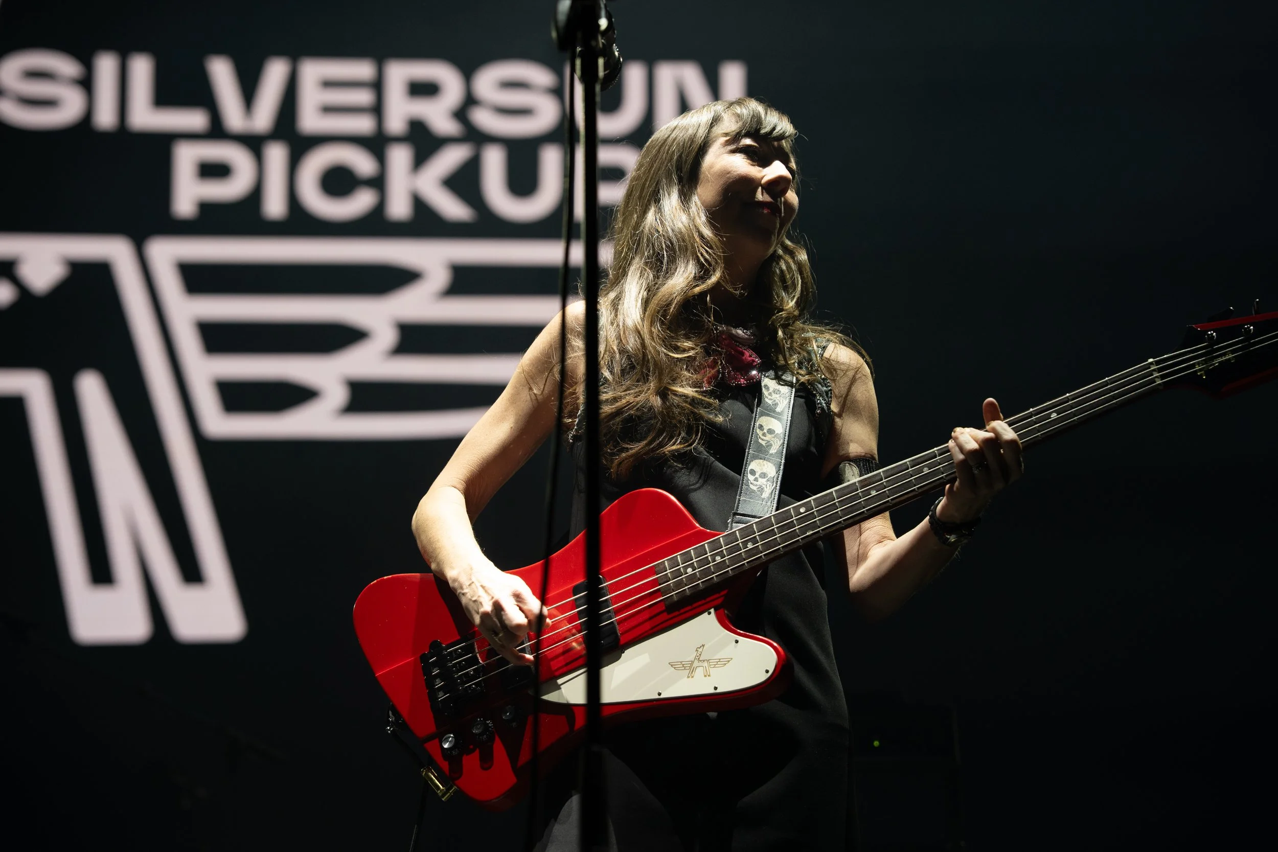 Silversunpickups-5.jpg