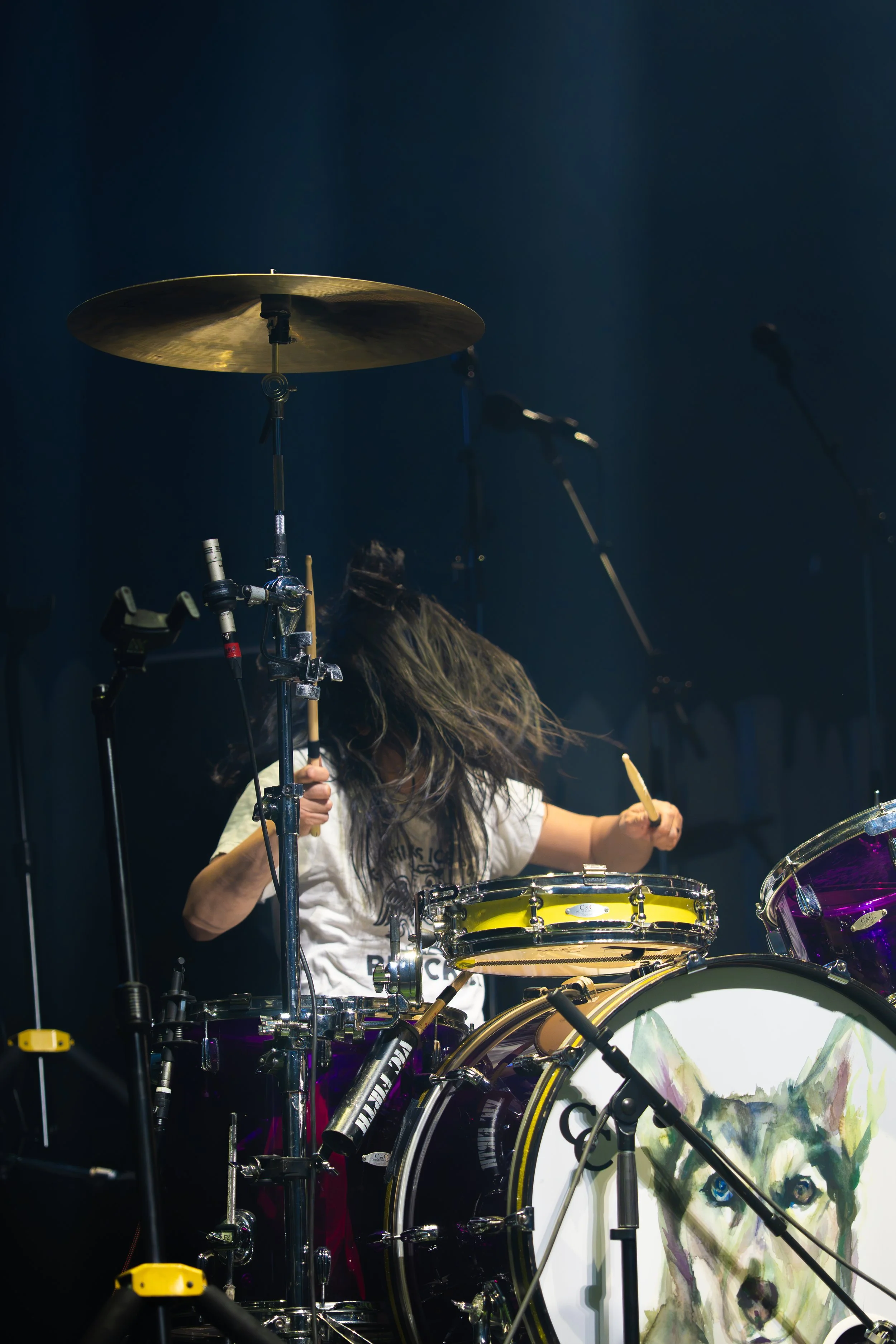 Silversunpickups-7.jpg
