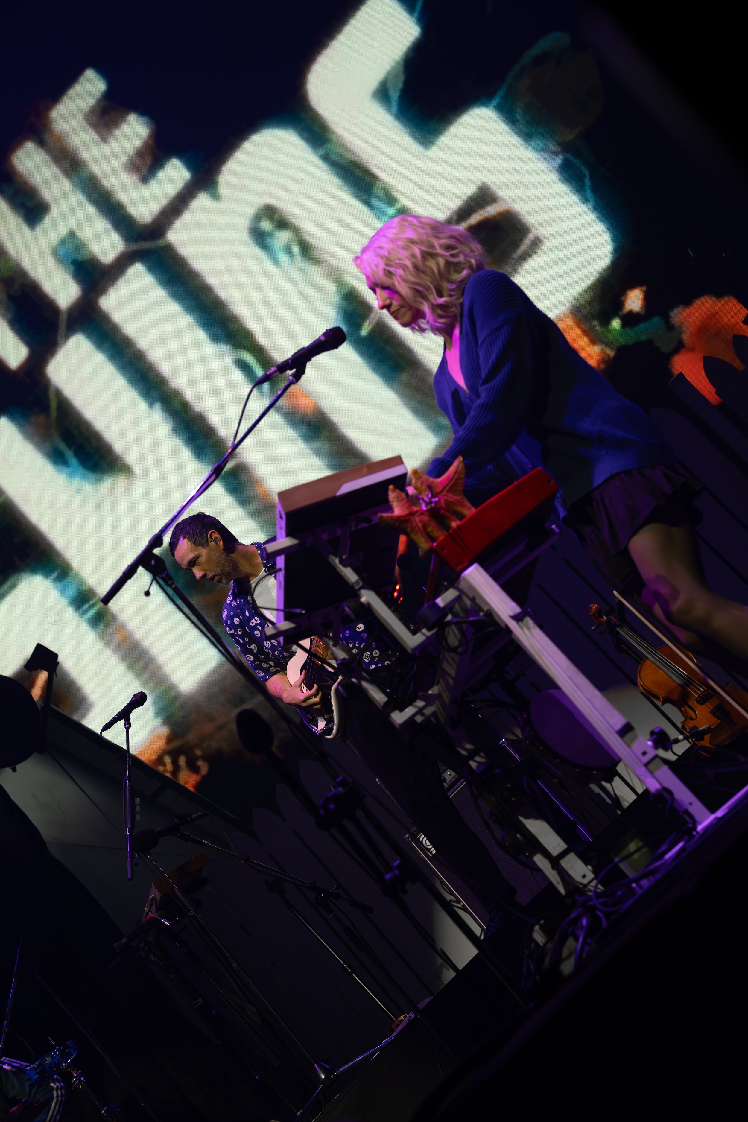 The Shins-1.jpg