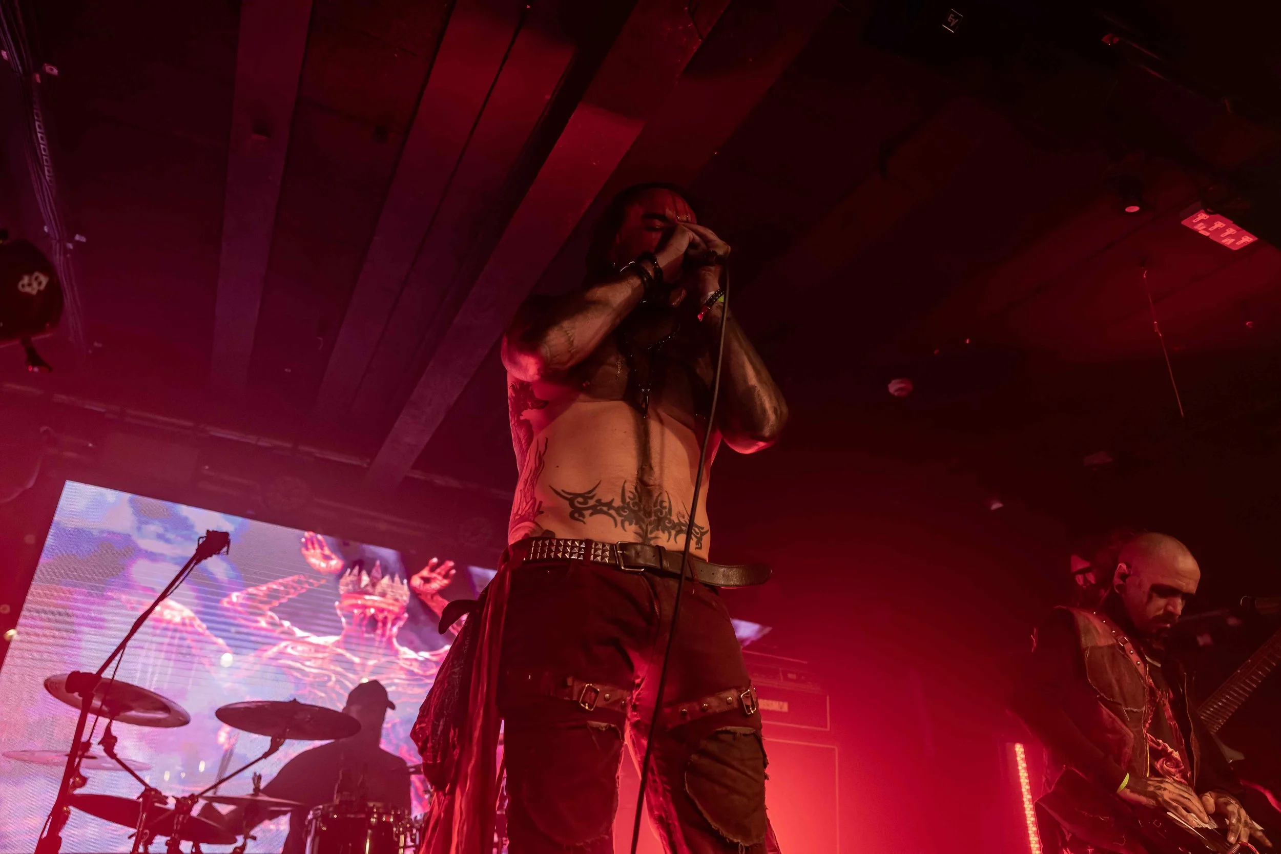 JSM01464-DxO_DeepPRIME 3.jpg