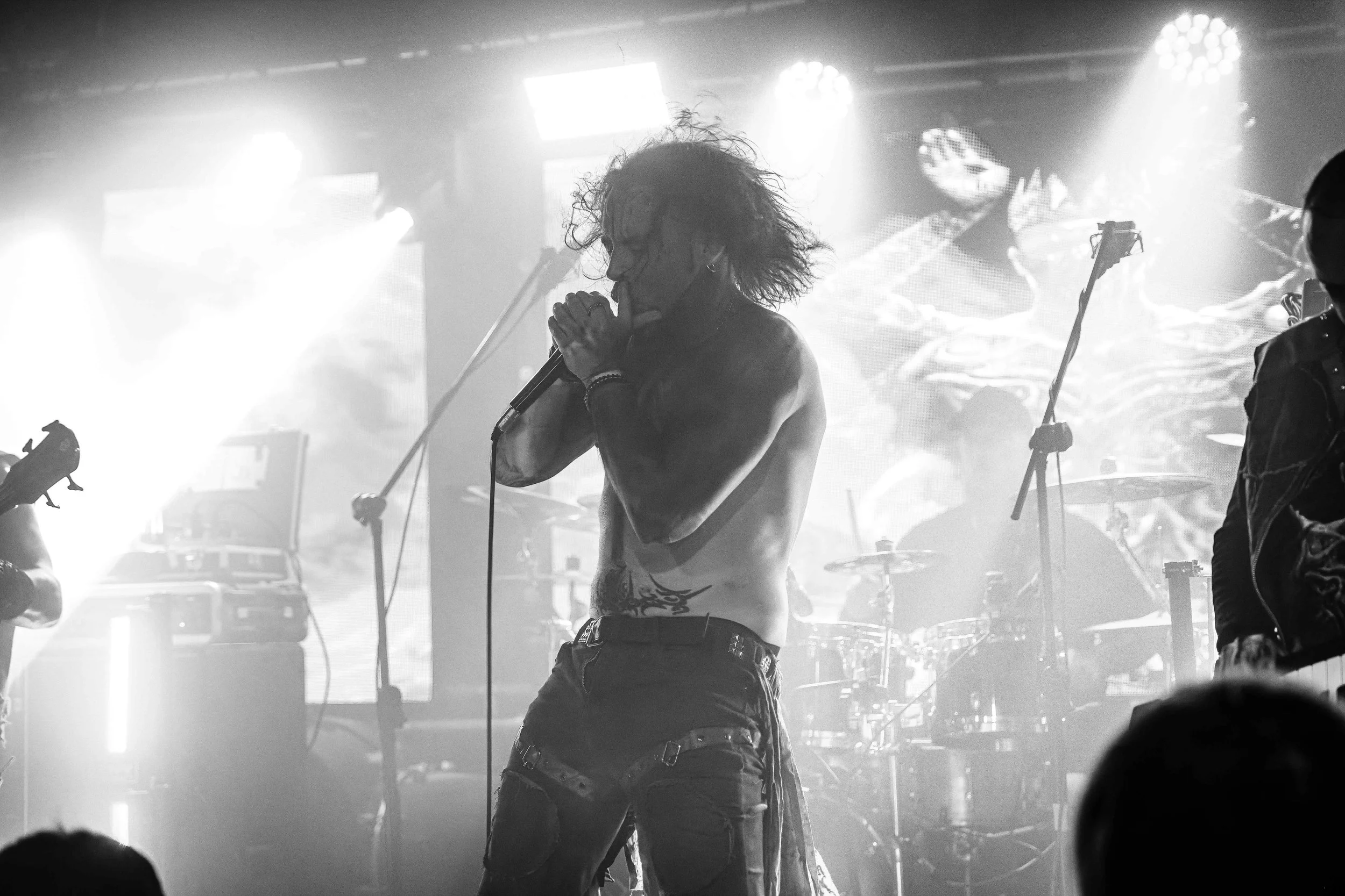JSM01485-DxO_DeepPRIME 3.jpg