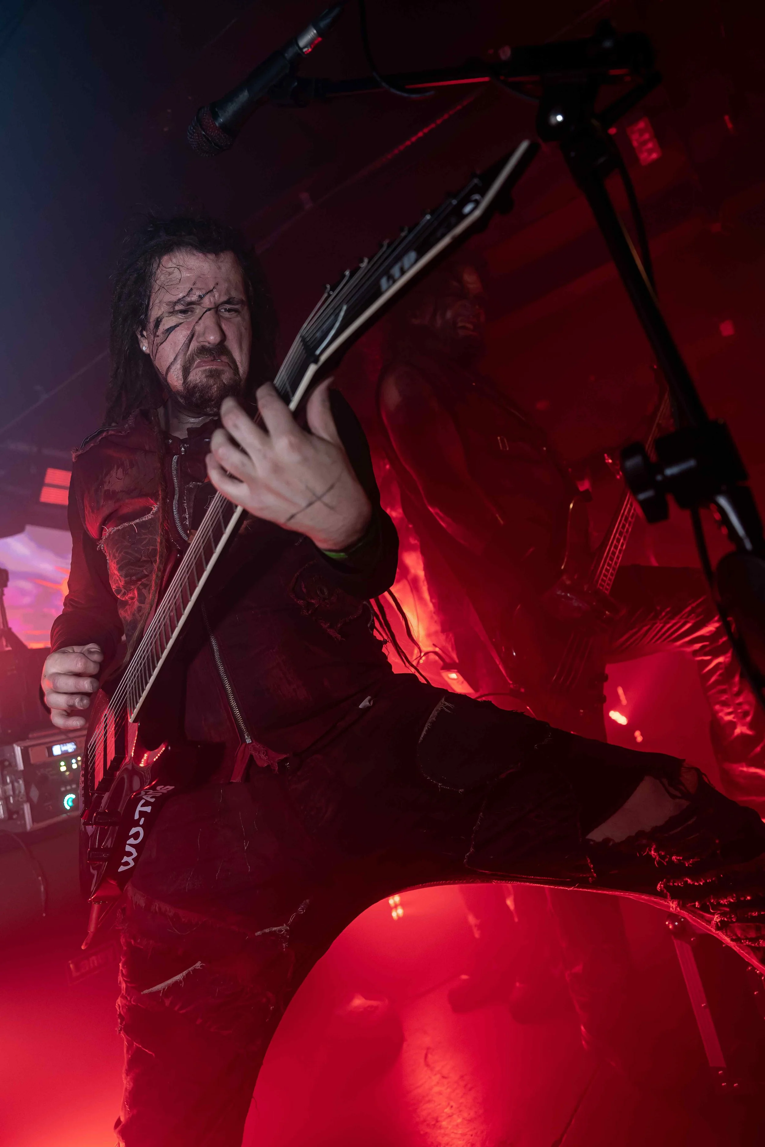 JSM01553-DxO_DeepPRIME 3.jpg