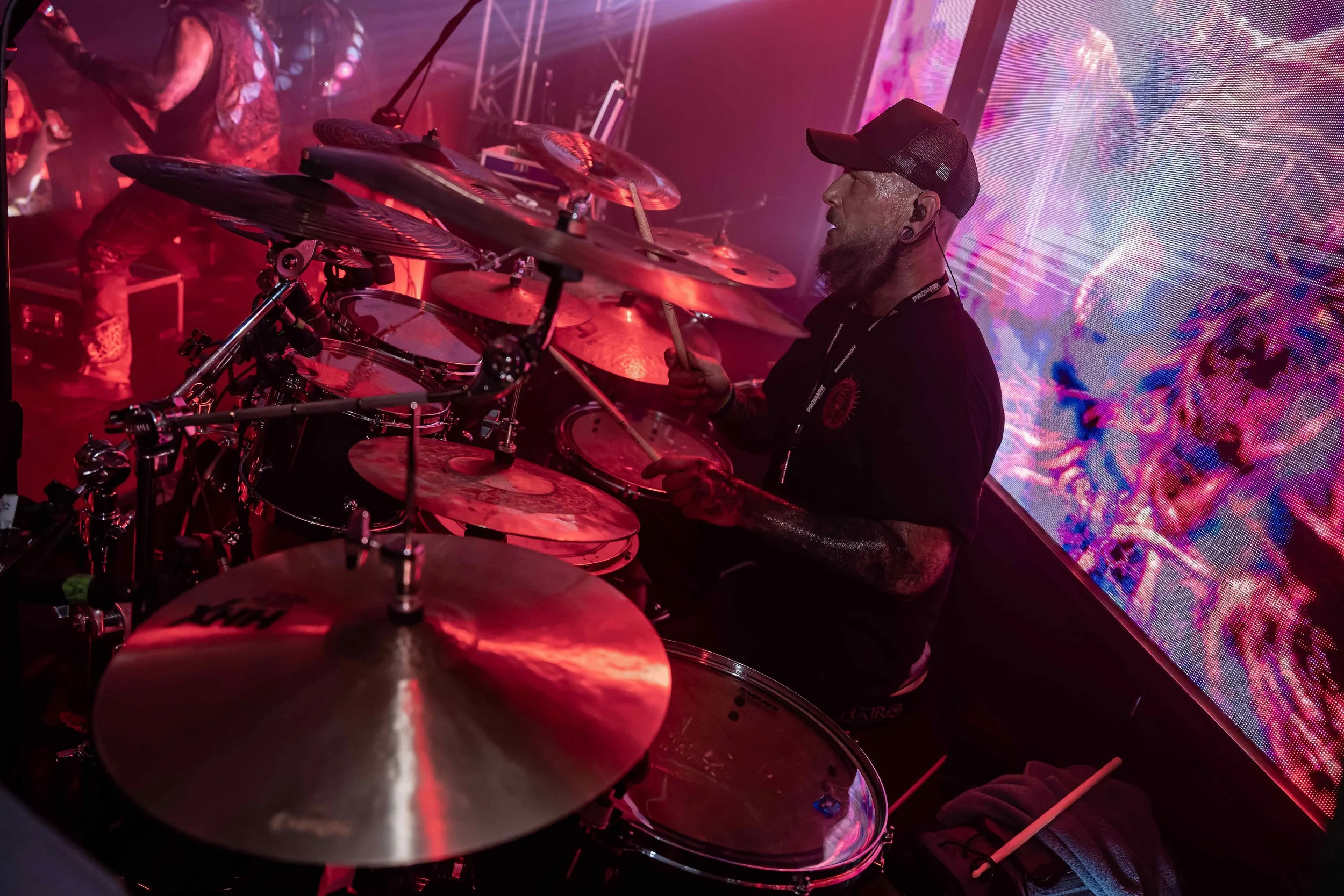 JSM01556-DxO_DeepPRIME 3.jpg