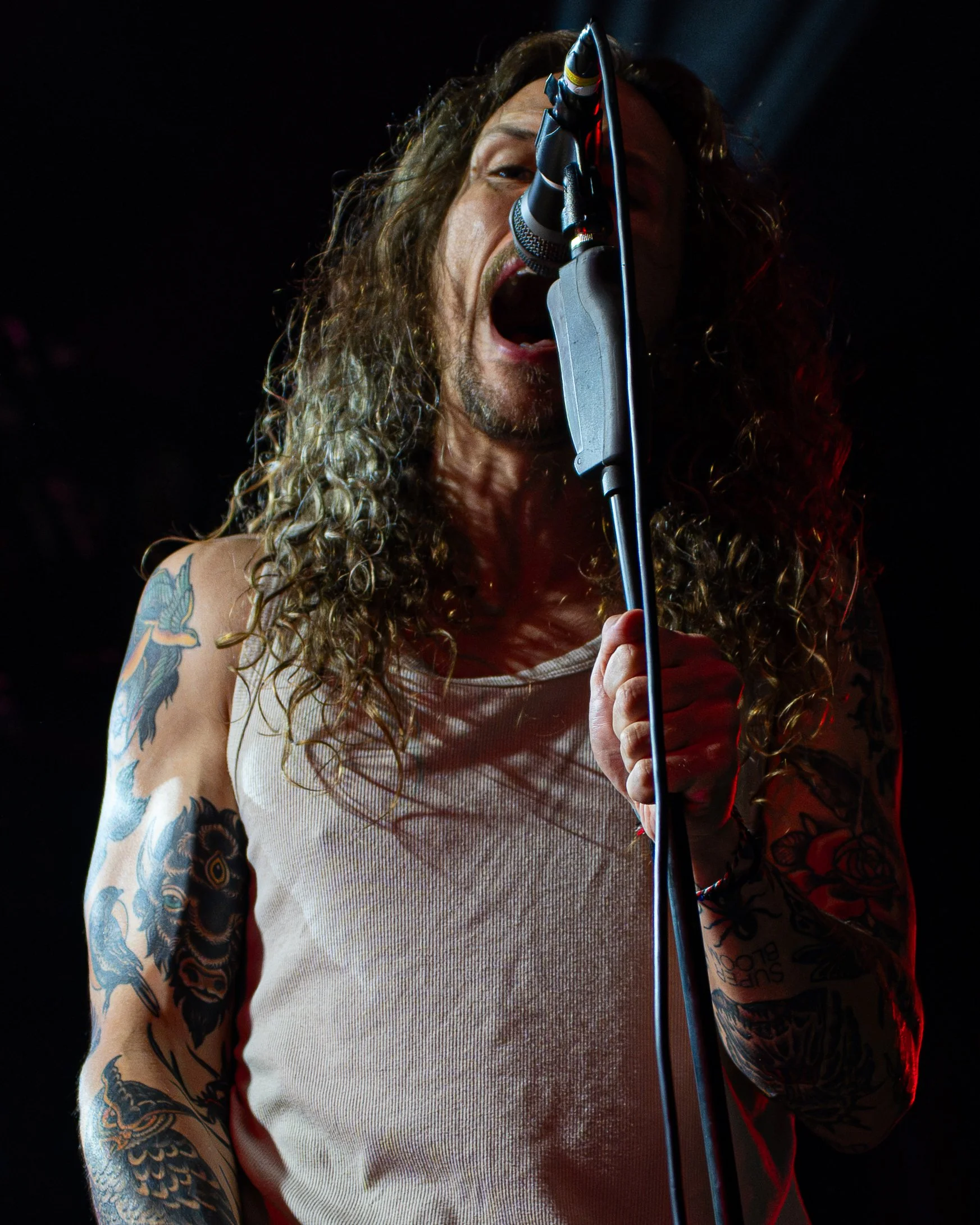 DSC01054.jpg