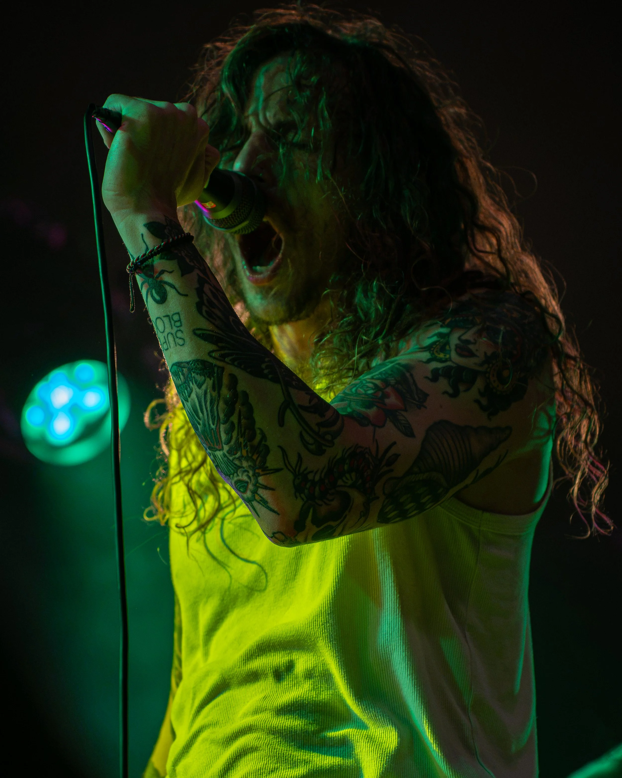DSC01212.jpg