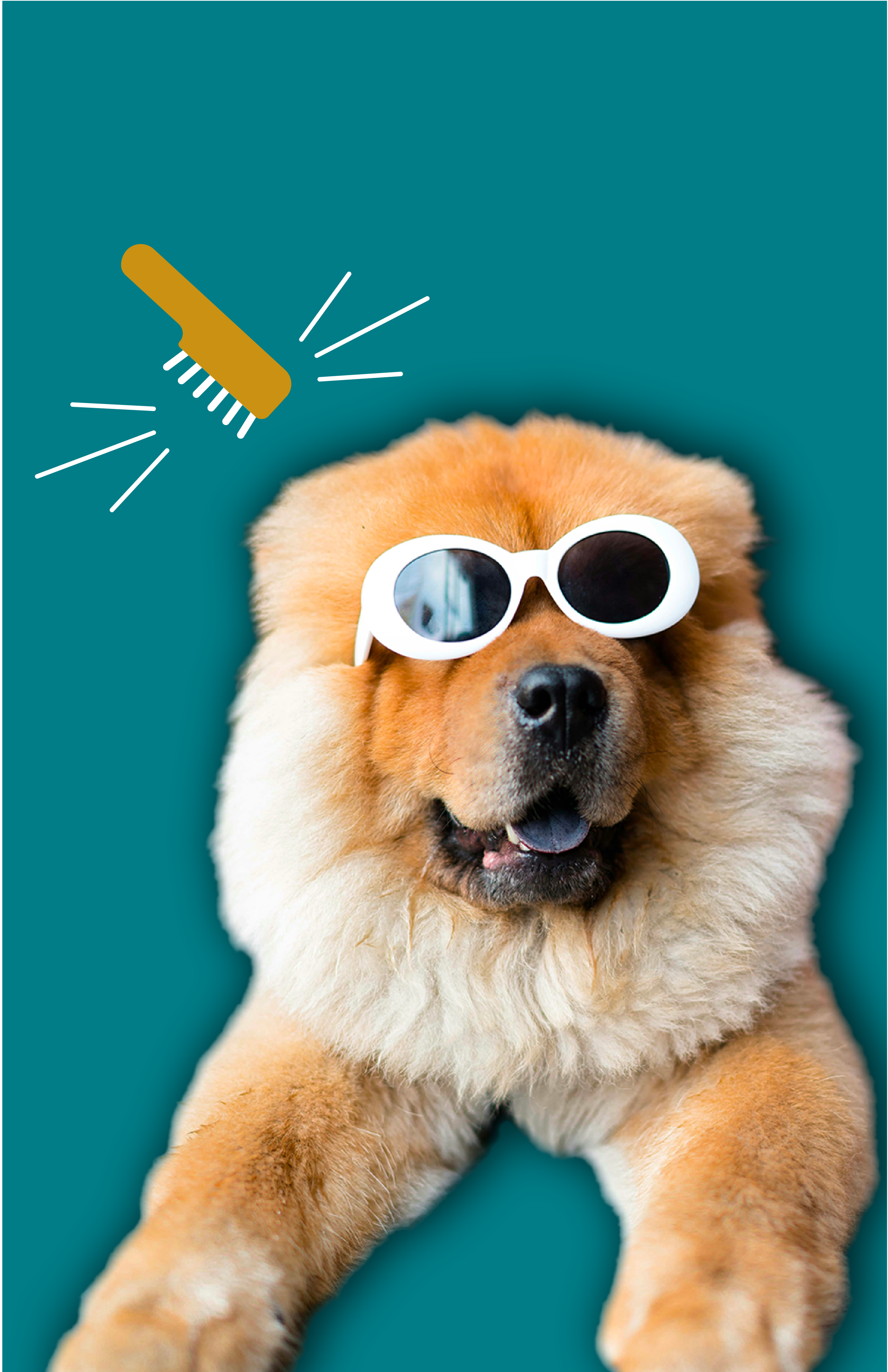 A fluffy golden-brown puppy wearing white sunglasses, lying on a teal background, with a cartoon-style illustration of a grooming brush and lines indicating grooming on the top left.