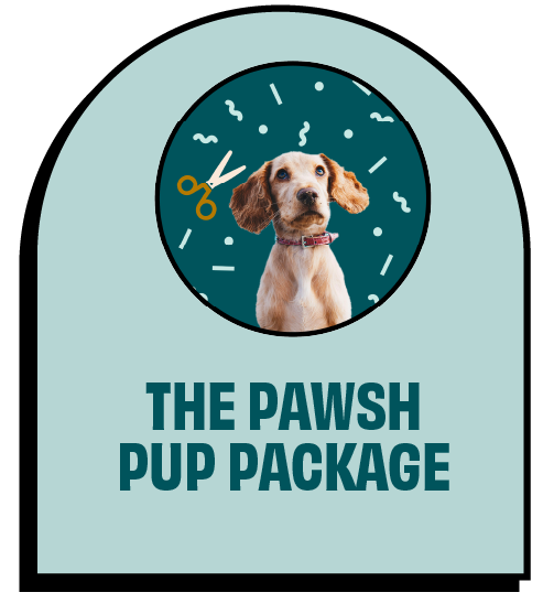 A graphic with a dog and confetti displaying scissors, and the text "The Pawsh Pup Package".