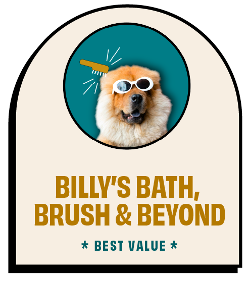 An advertisement for Billy's Bath, Brush & Beyond features a dog wearing sunglasses with a brush behind its head, and text highlighting the store's name and best value.