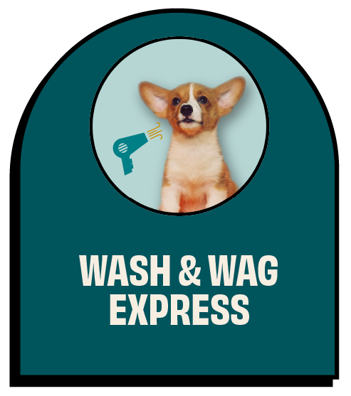Logo for Wash & Wag Express featuring a puppy with a blow dryer icon.