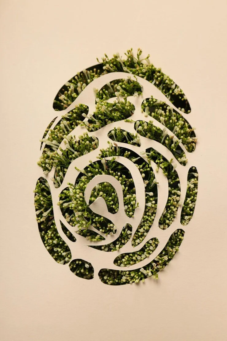 Cut-out paper art layered with small green buds and white flowers, creating a floral abstract design.