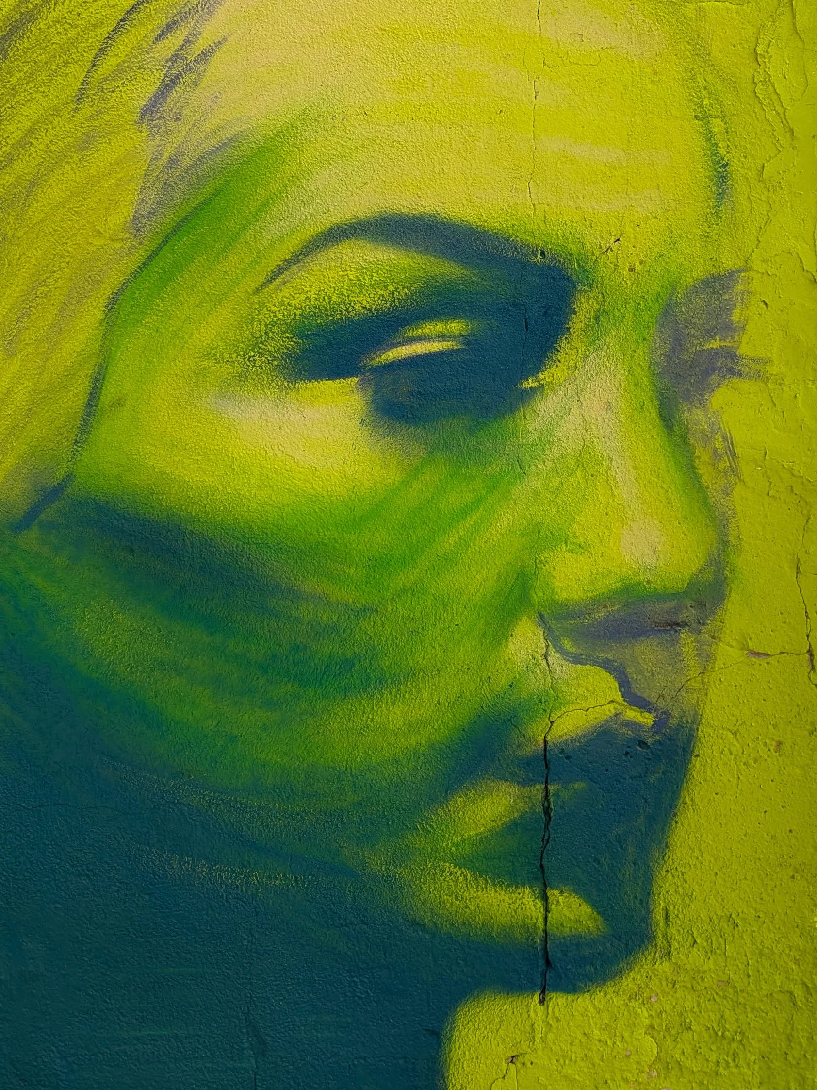 Retrato verde -
2023 -
Mural -
130 × 240 cm