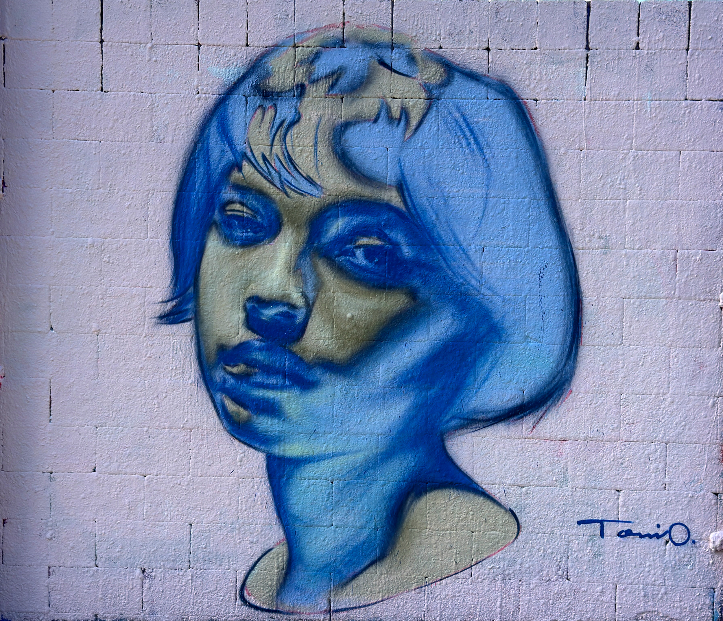 Mujer azul -
2025 -
Mural -
240 × 220 cm
