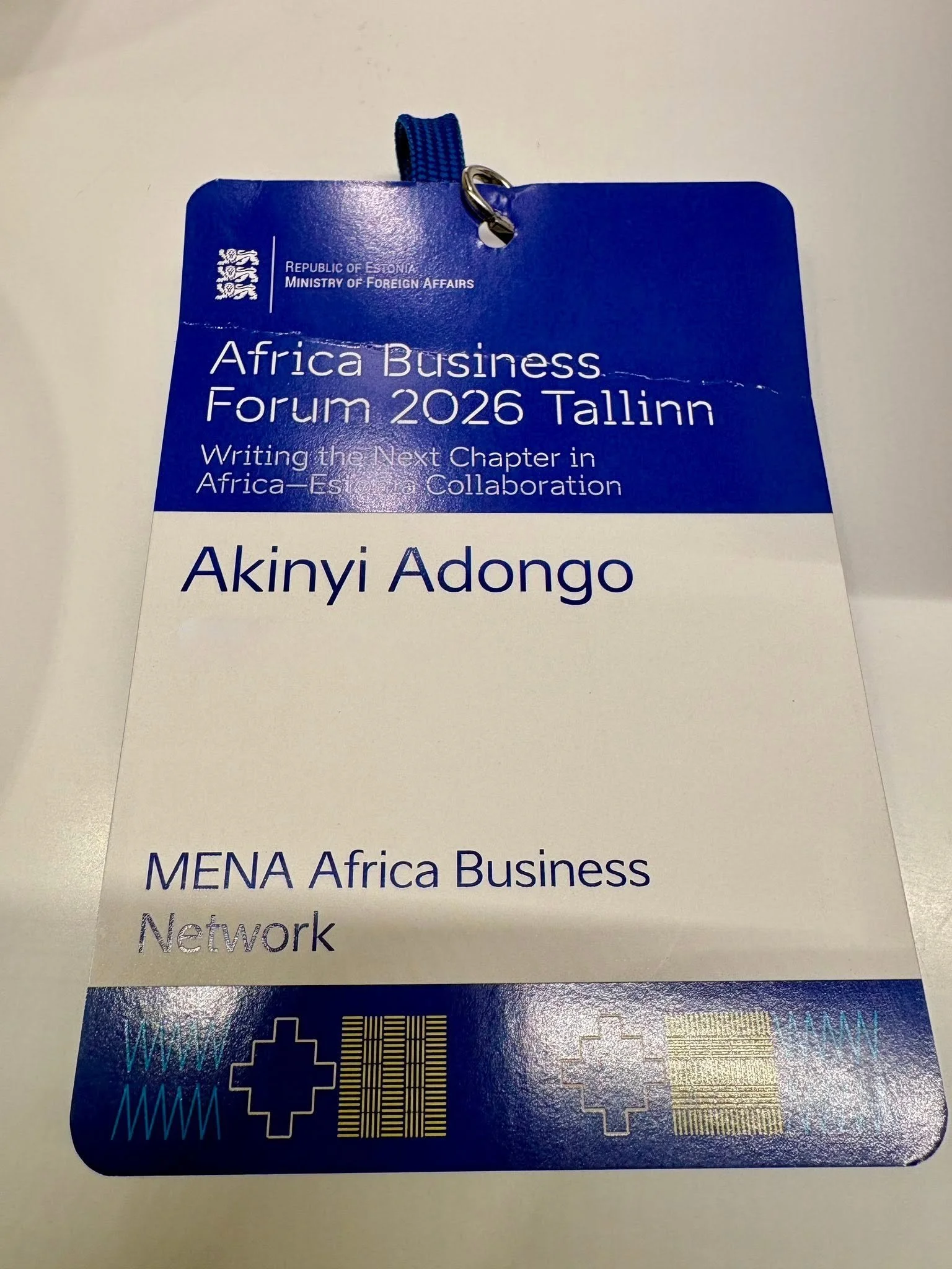 The Diplomat'a Market - Akinyi Adongo's Market - Estonia Africa Business Forum 8.jpg