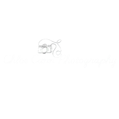 Your Site Title