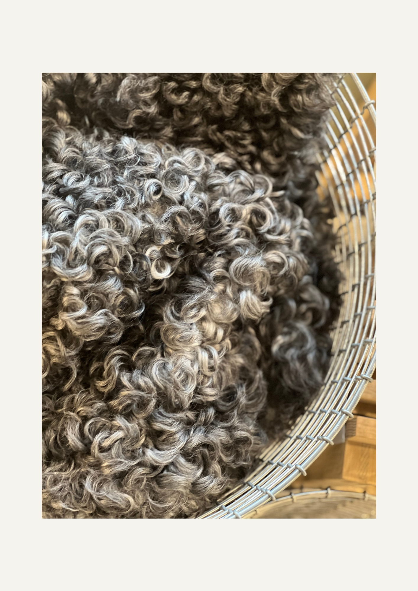 WOOL-2.png