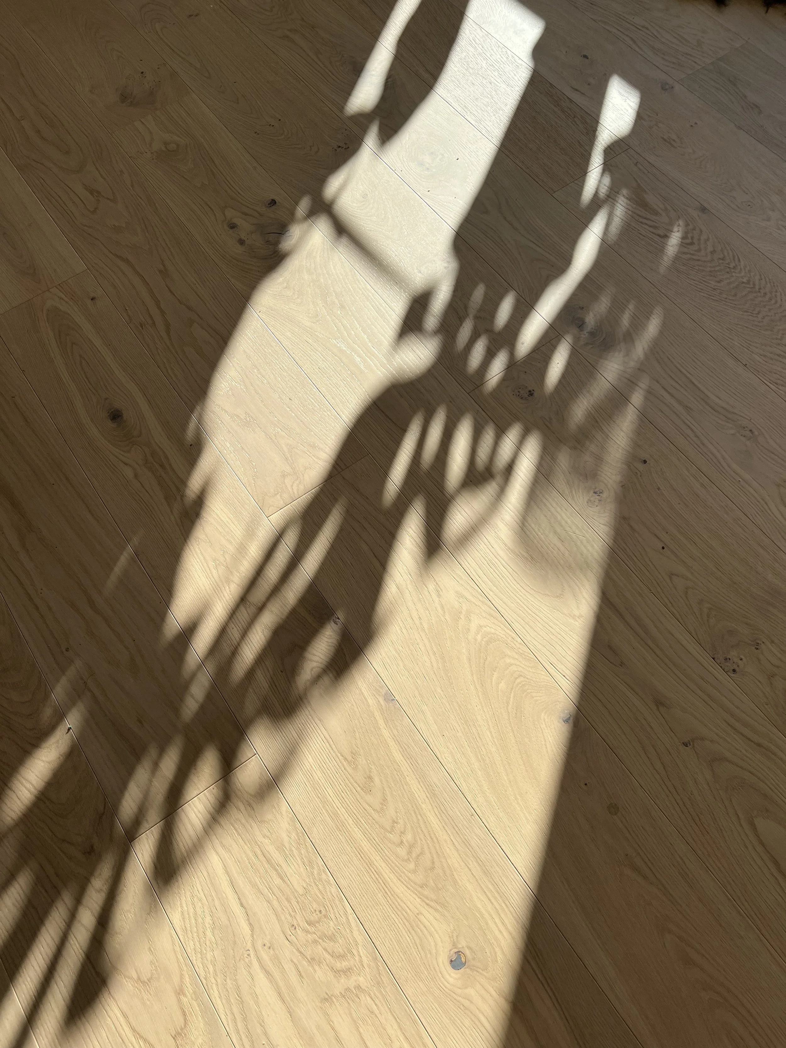 Sunlight and shadows falling across a wooden floor in a Scandinavian home.