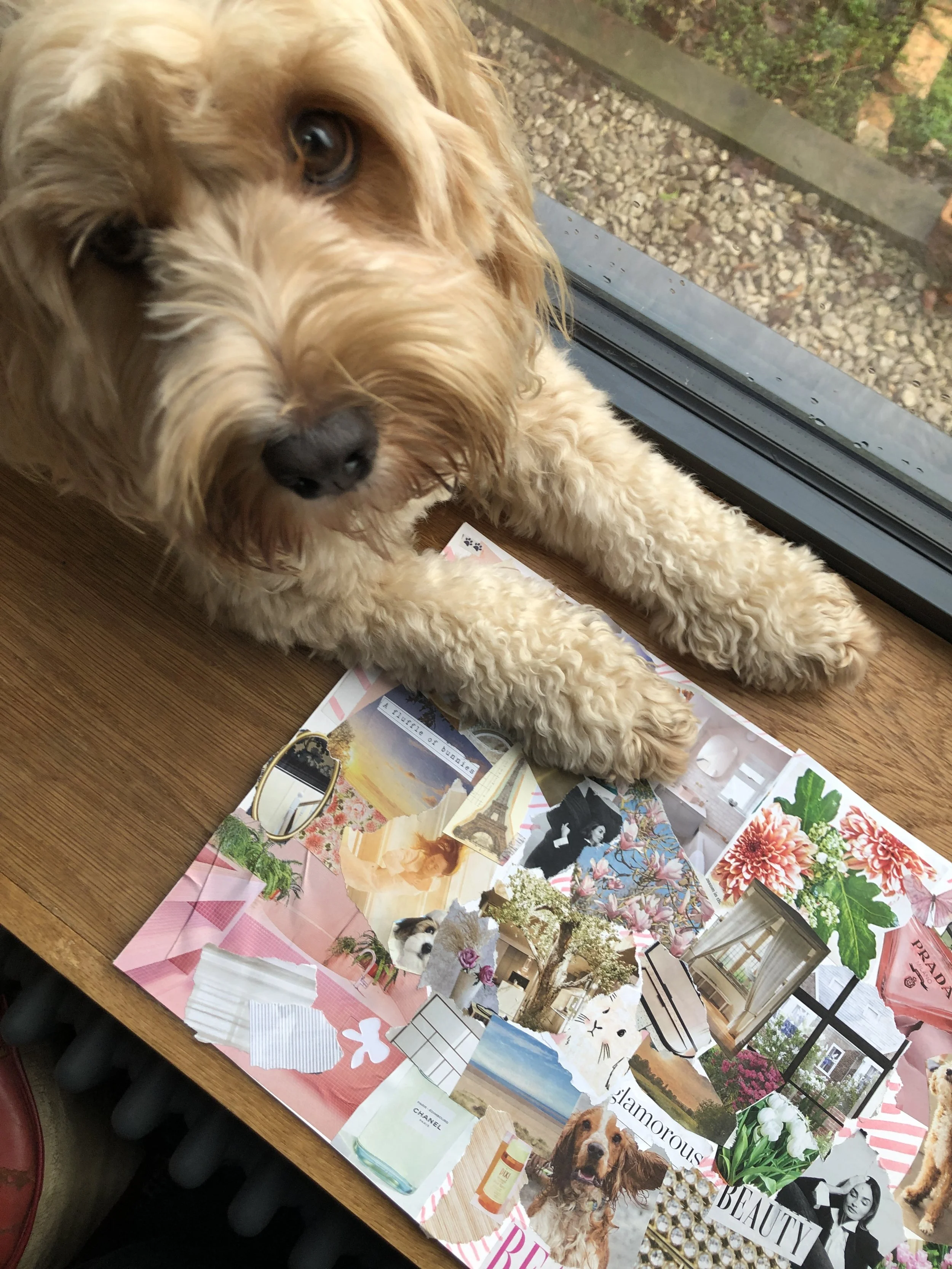 Create a Visual Mood Board