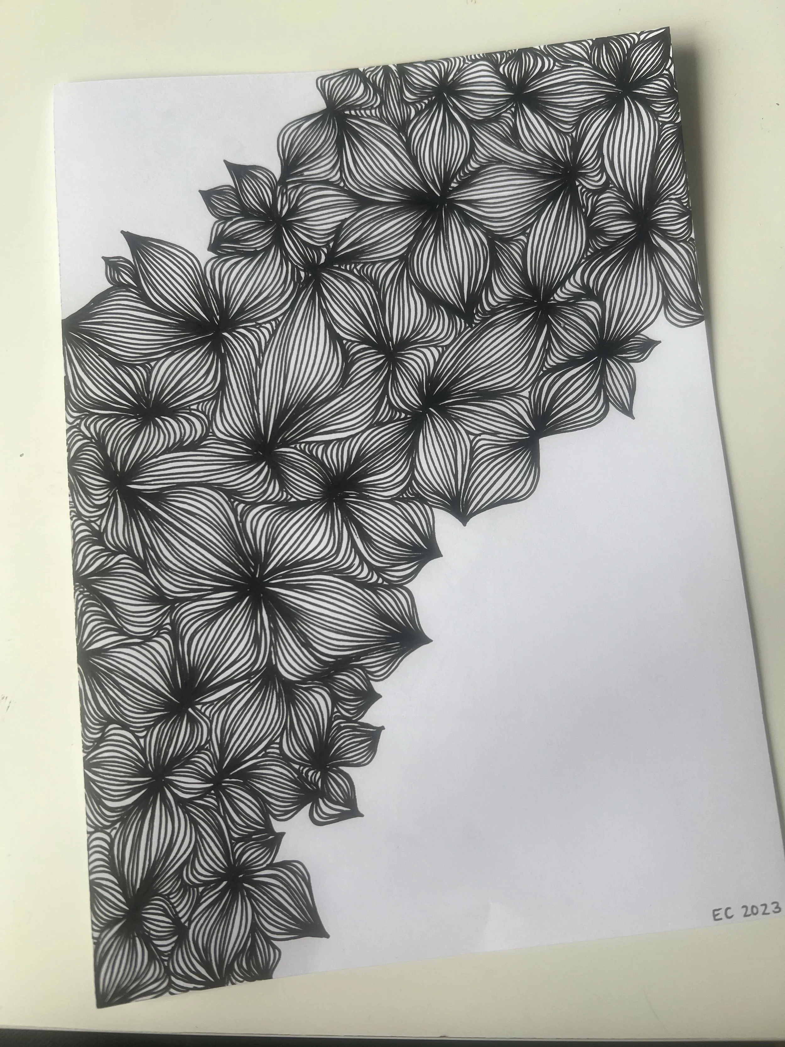 Doodling with a Difference